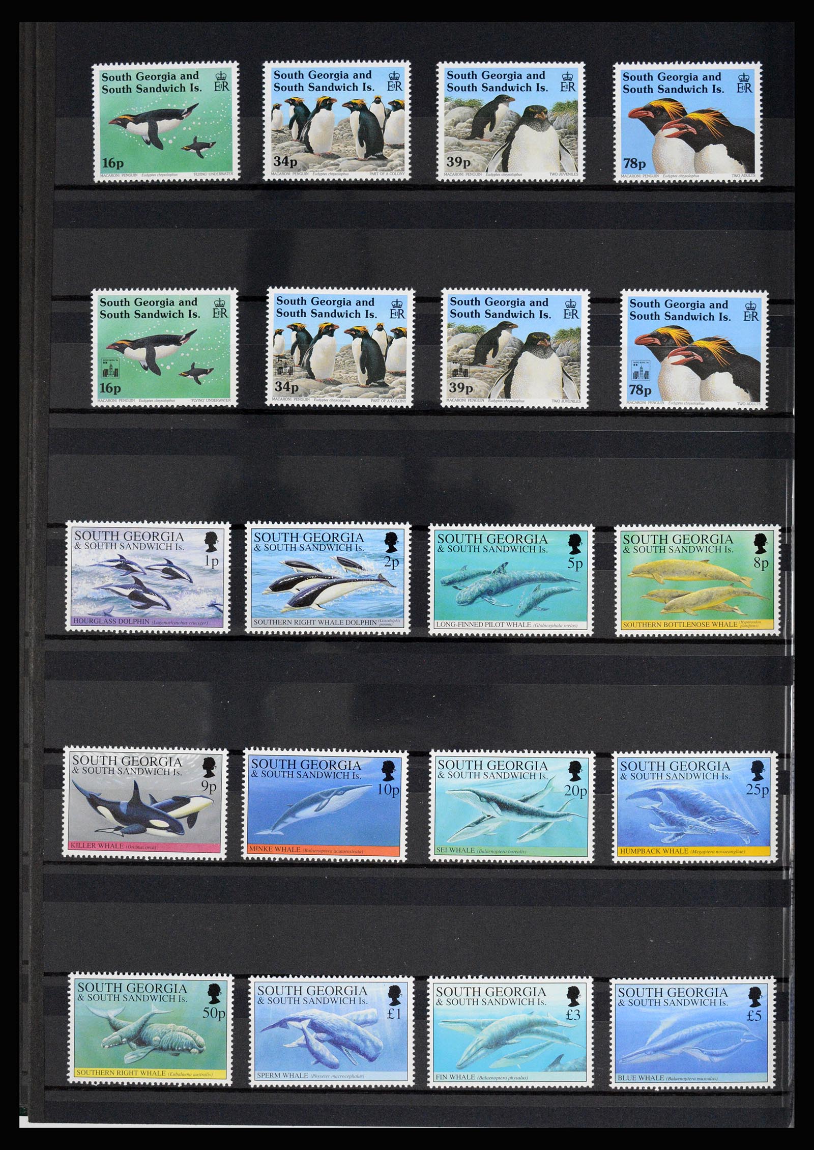36784 060 - Postzegelverzameling 36784 Falkland Eilanden 1895-1997.