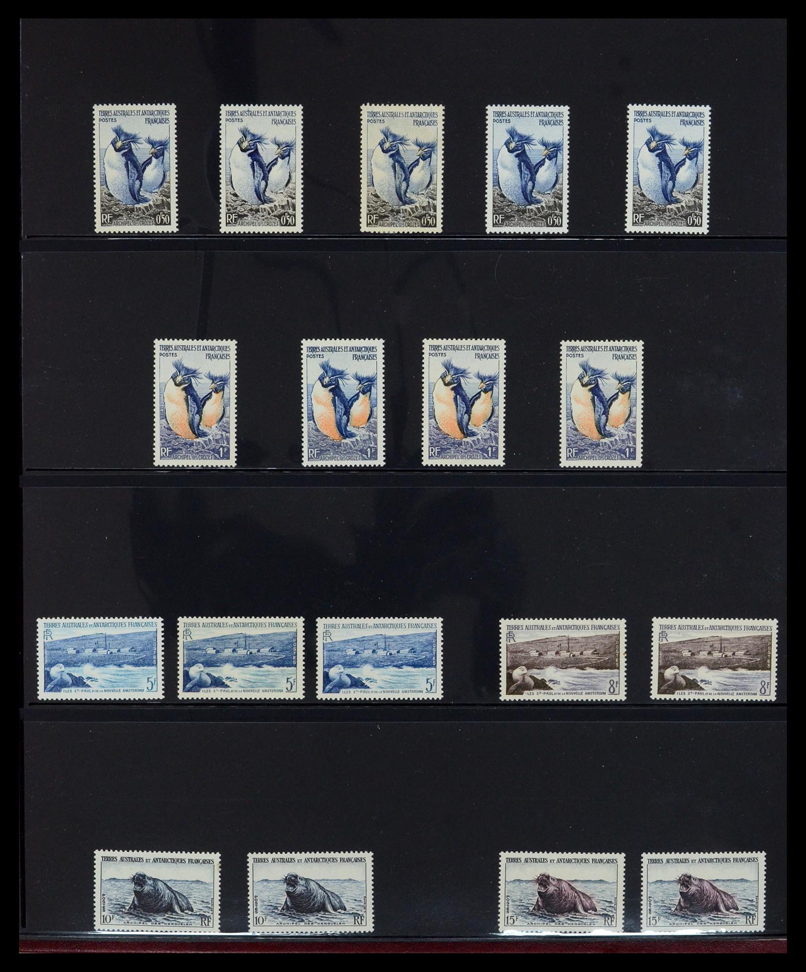 36790 001 - Postzegelverzameling 36790 Frans Antarctica 1955-1996.