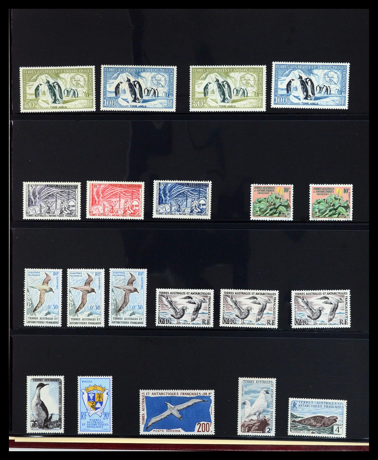36790 002 - Postzegelverzameling 36790 Frans Antarctica 1955-1996.