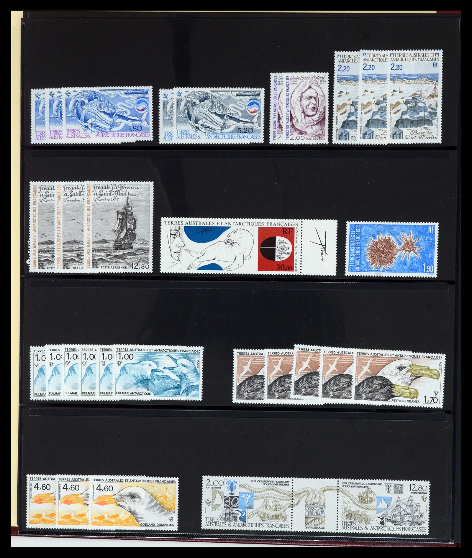 36790 014 - Postzegelverzameling 36790 Frans Antarctica 1955-1996.