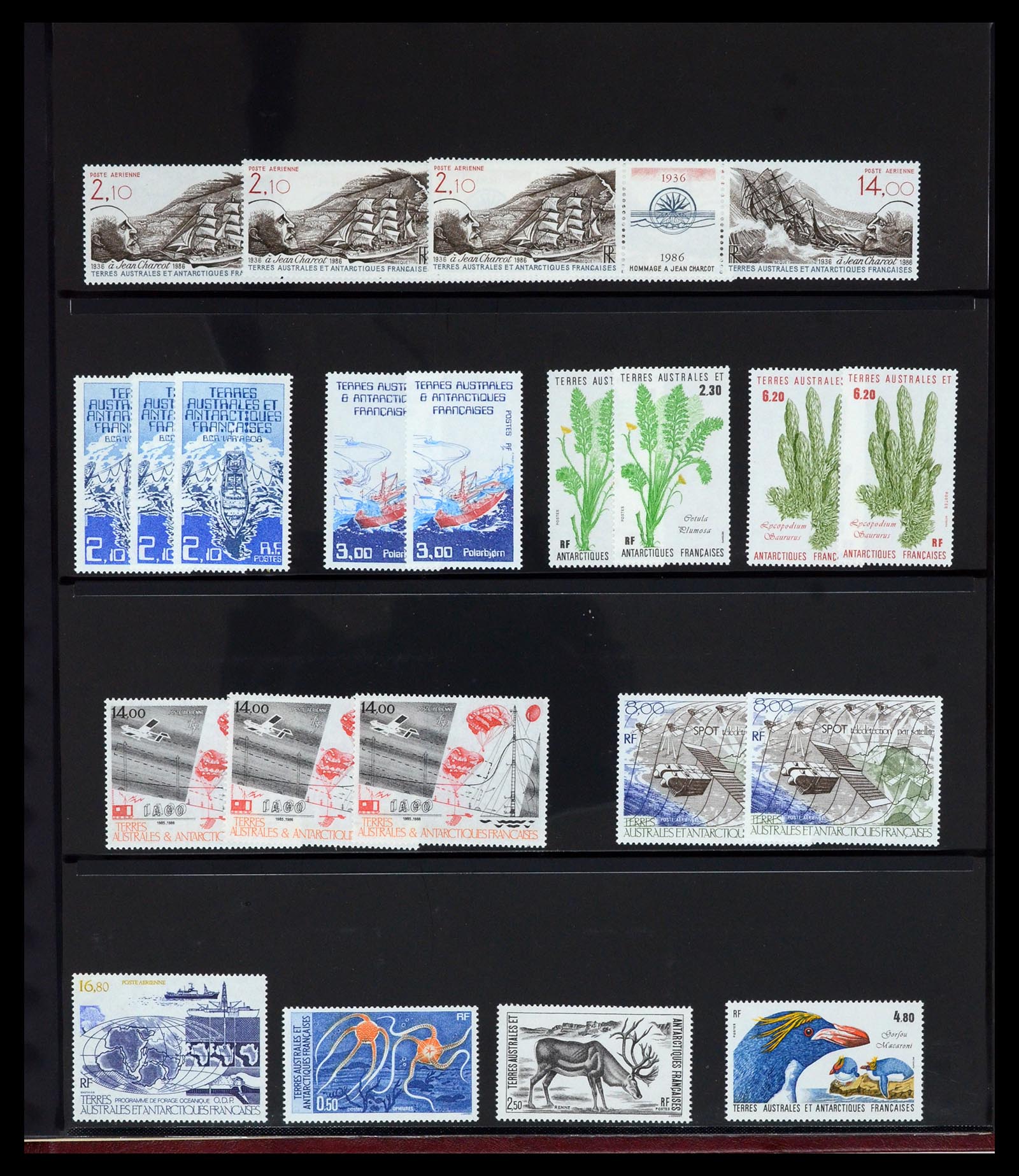 36790 015 - Postzegelverzameling 36790 Frans Antarctica 1955-1996.