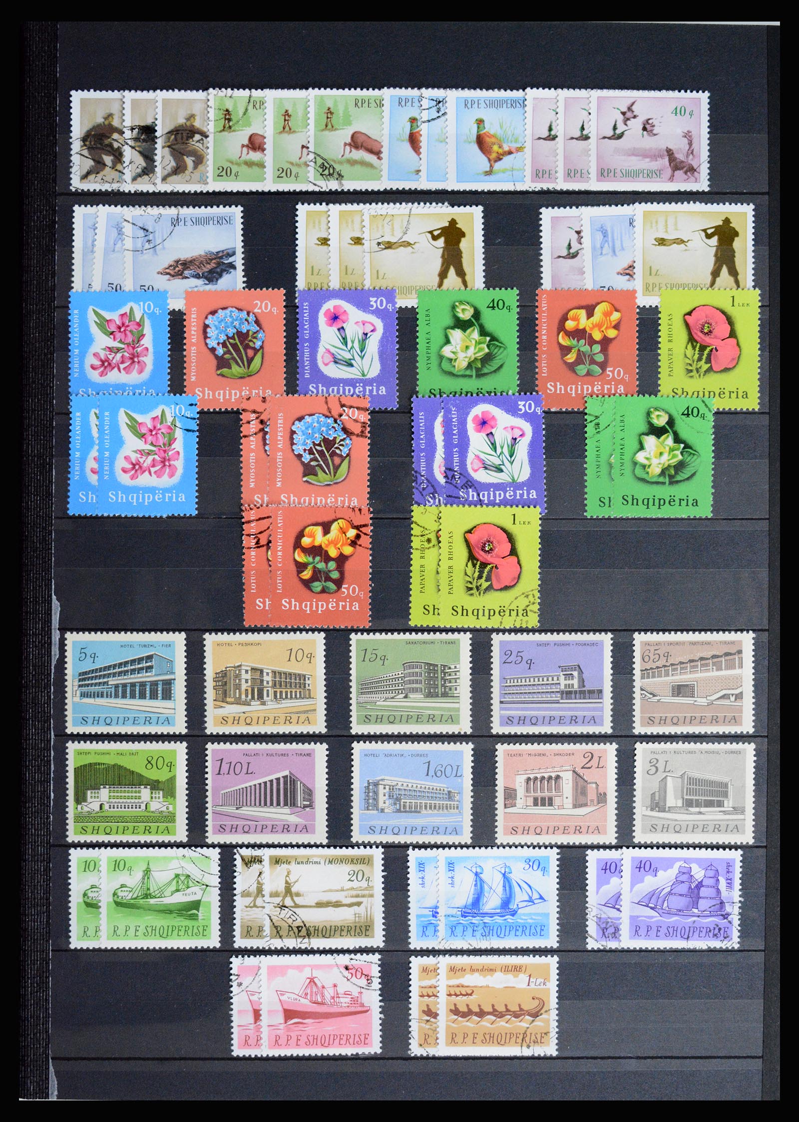 36824 019 - Postzegelverzameling 36824 Albanië 1913-2003.