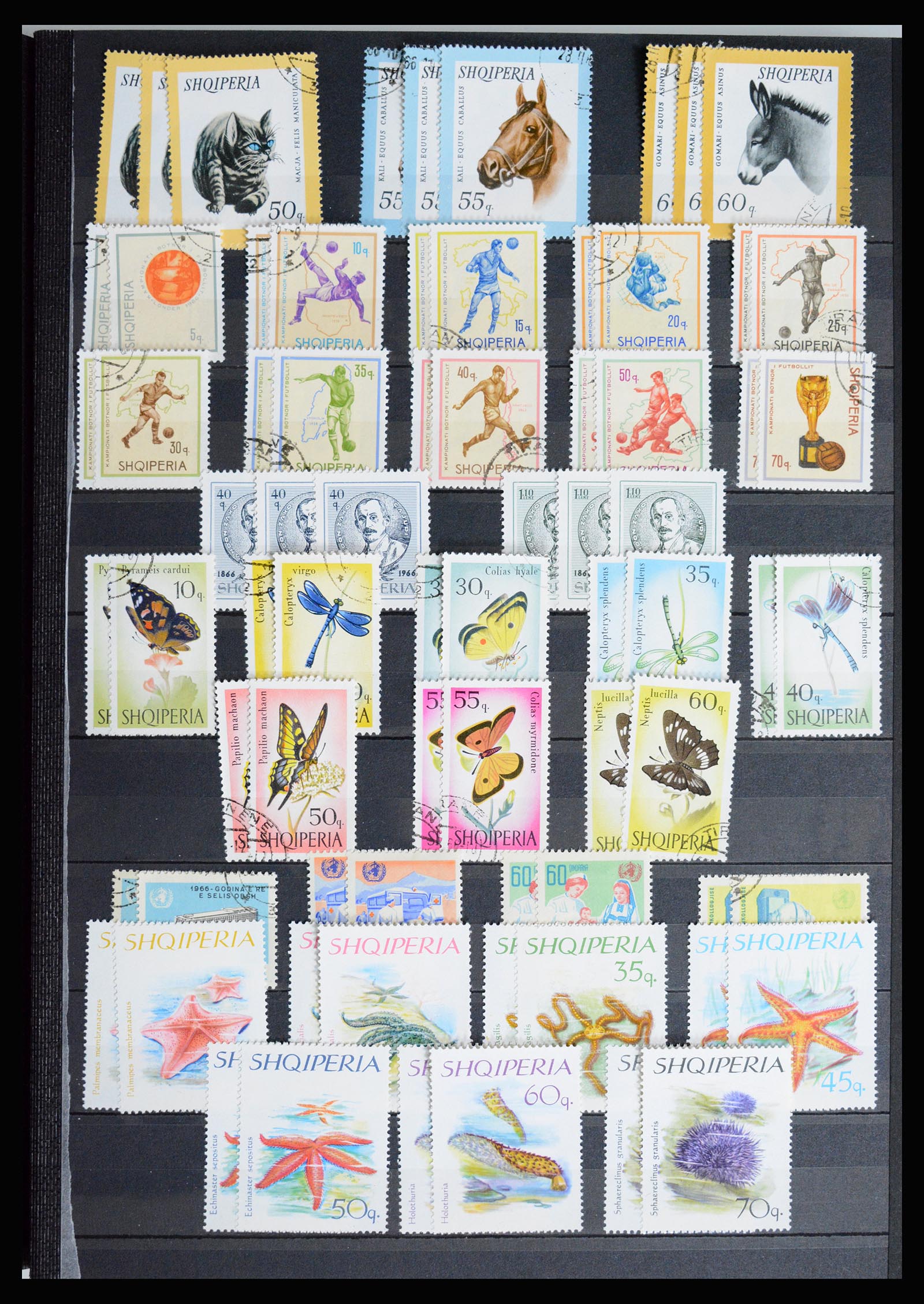 36824 021 - Postzegelverzameling 36824 Albanië 1913-2003.