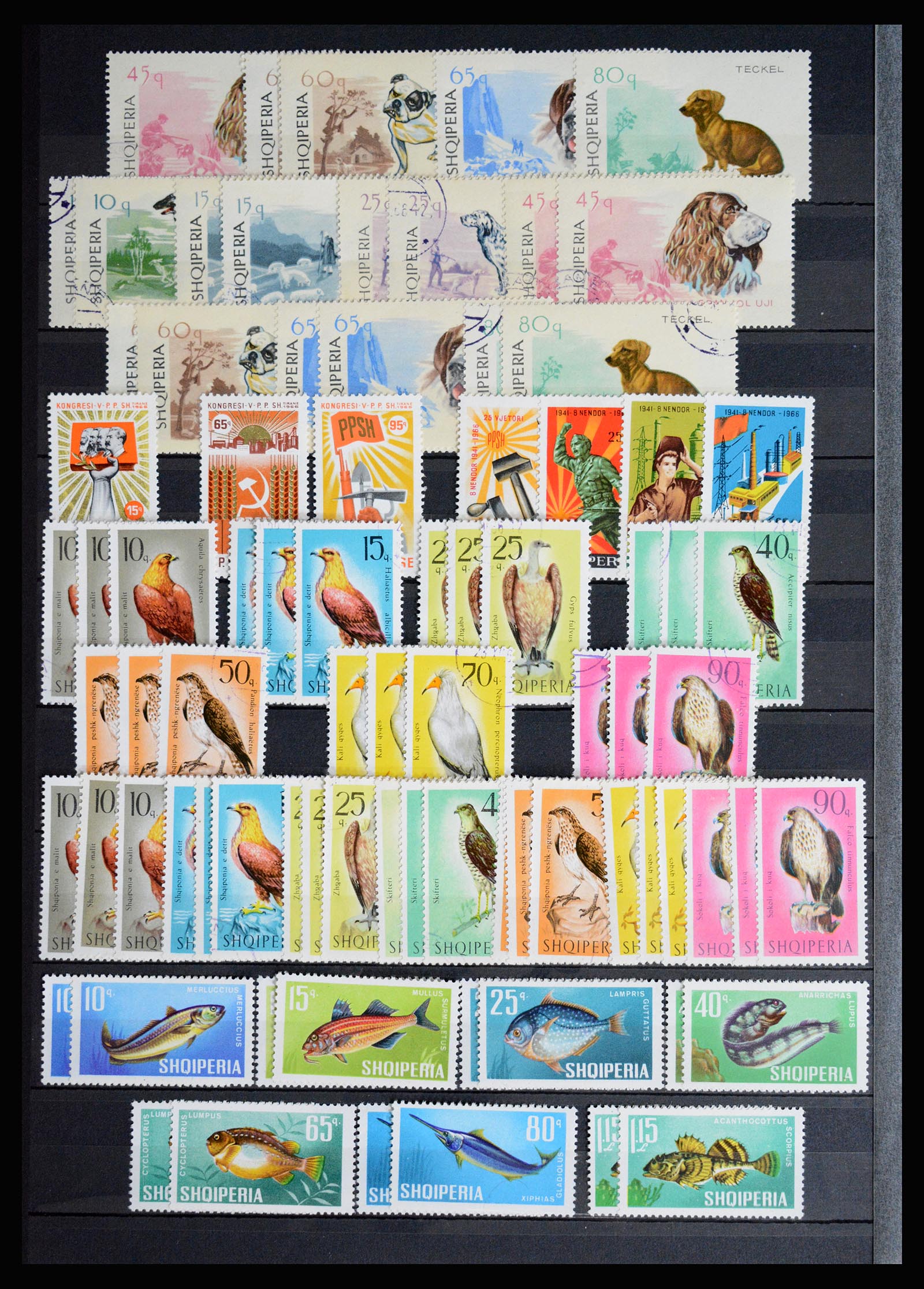 36824 024 - Postzegelverzameling 36824 Albanië 1913-2003.