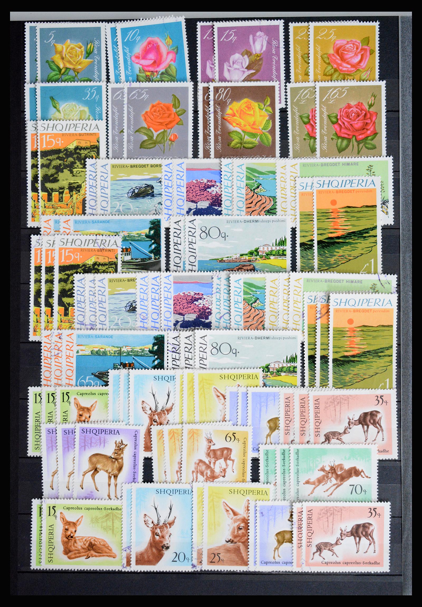 36824 026 - Postzegelverzameling 36824 Albanië 1913-2003.