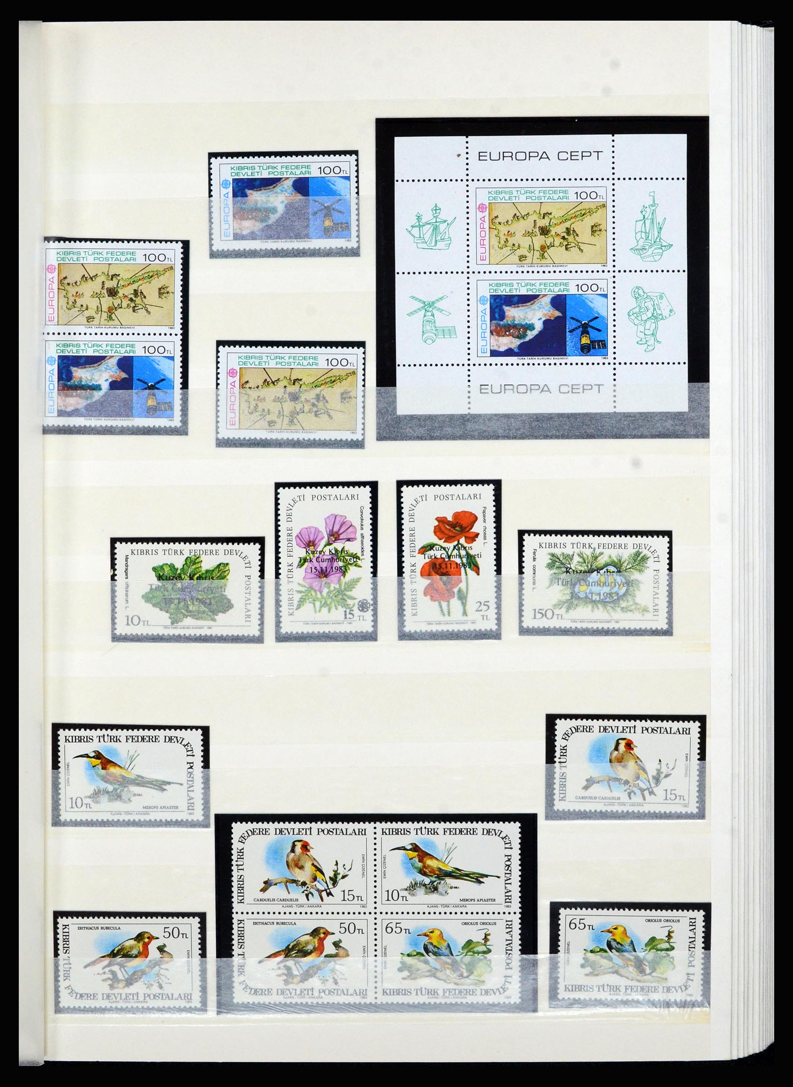 36873 013 - Postzegelverzameling 36873 Turks Cyprus 1973-1998.