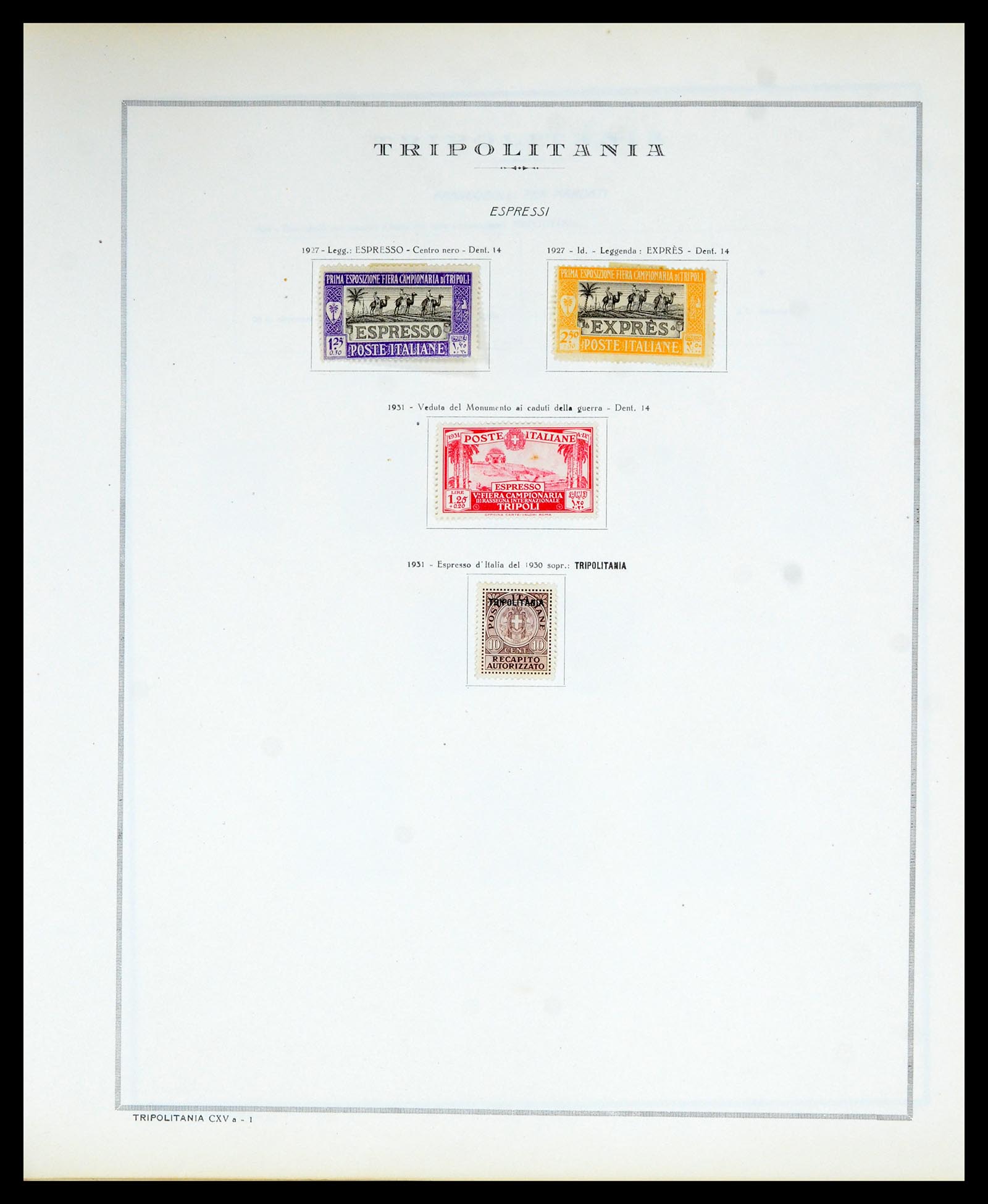36900 205 - Postzegelverzameling 36900 Italiaanse gebieden/koloniën topverzamelin