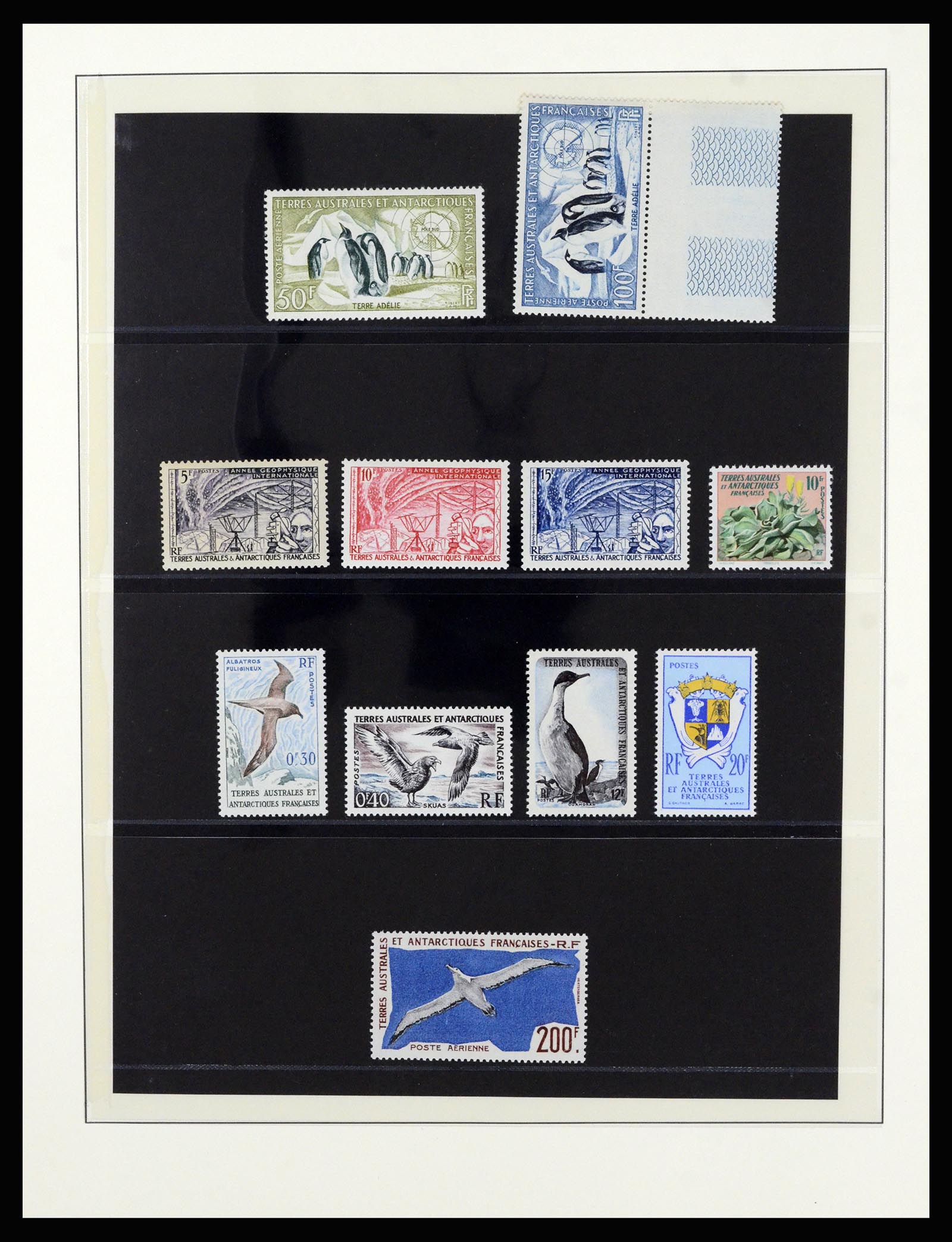36925 002 - Postzegelverzameling 36925 Frans Antarctica 1955-2002.