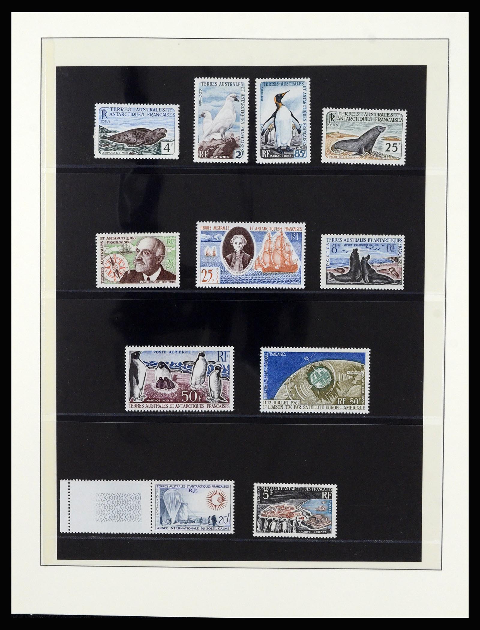 36925 003 - Postzegelverzameling 36925 Frans Antarctica 1955-2002.
