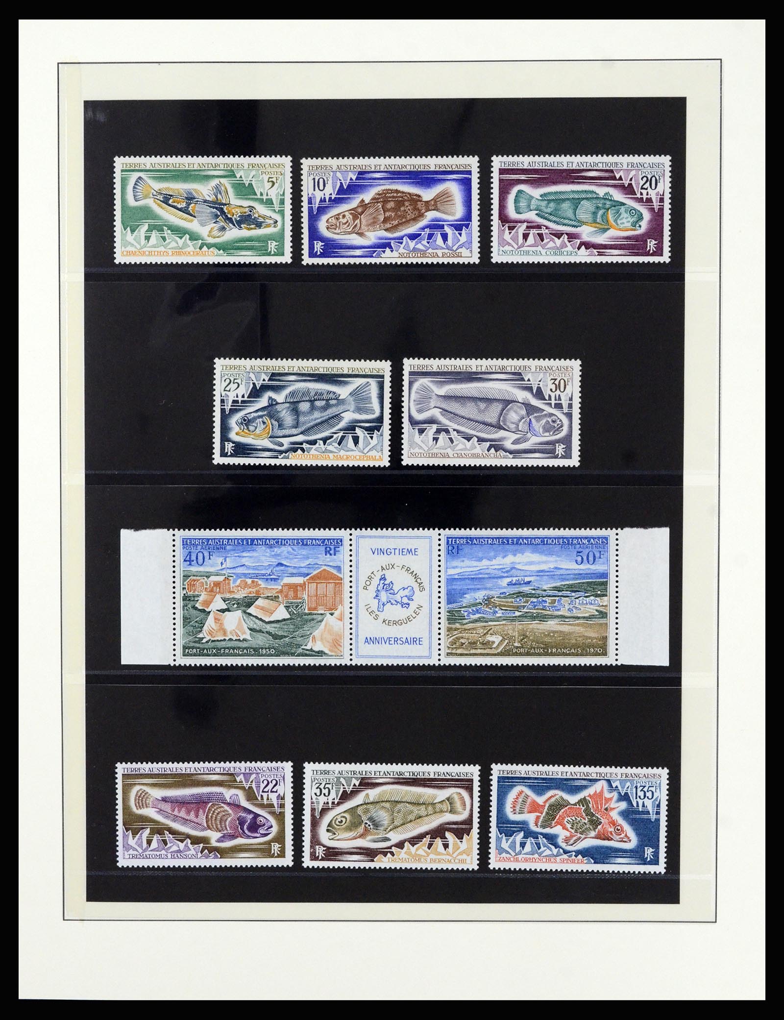 36925 007 - Postzegelverzameling 36925 Frans Antarctica 1955-2002.