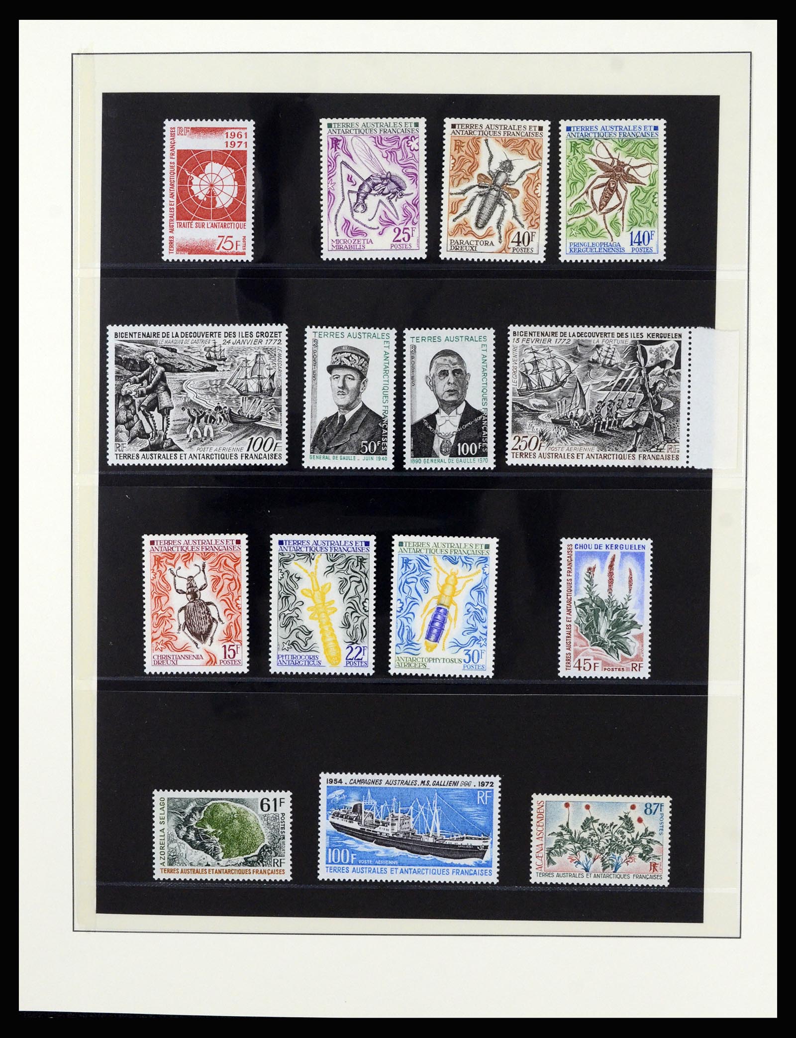 36925 008 - Postzegelverzameling 36925 Frans Antarctica 1955-2002.
