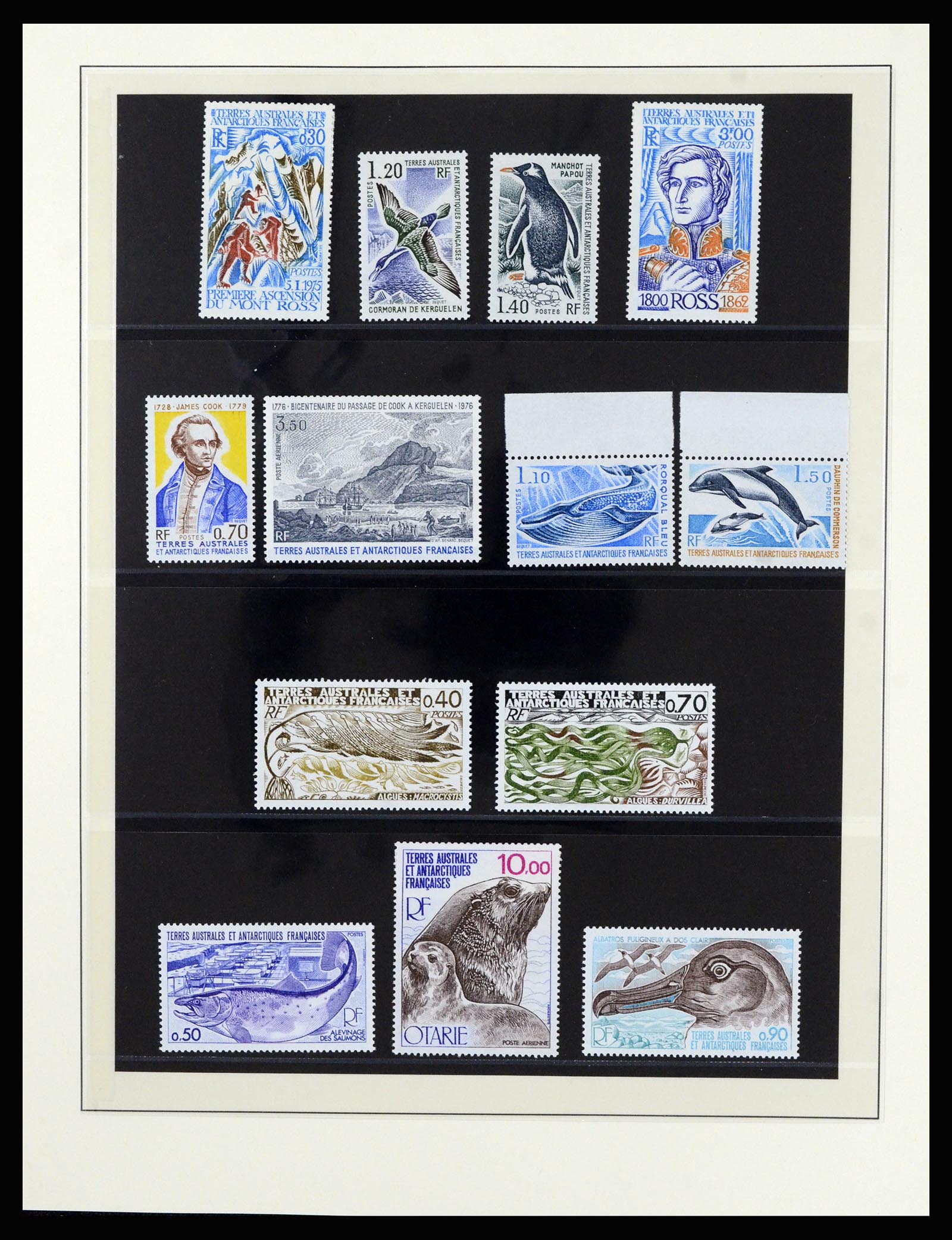 36925 012 - Postzegelverzameling 36925 Frans Antarctica 1955-2002.