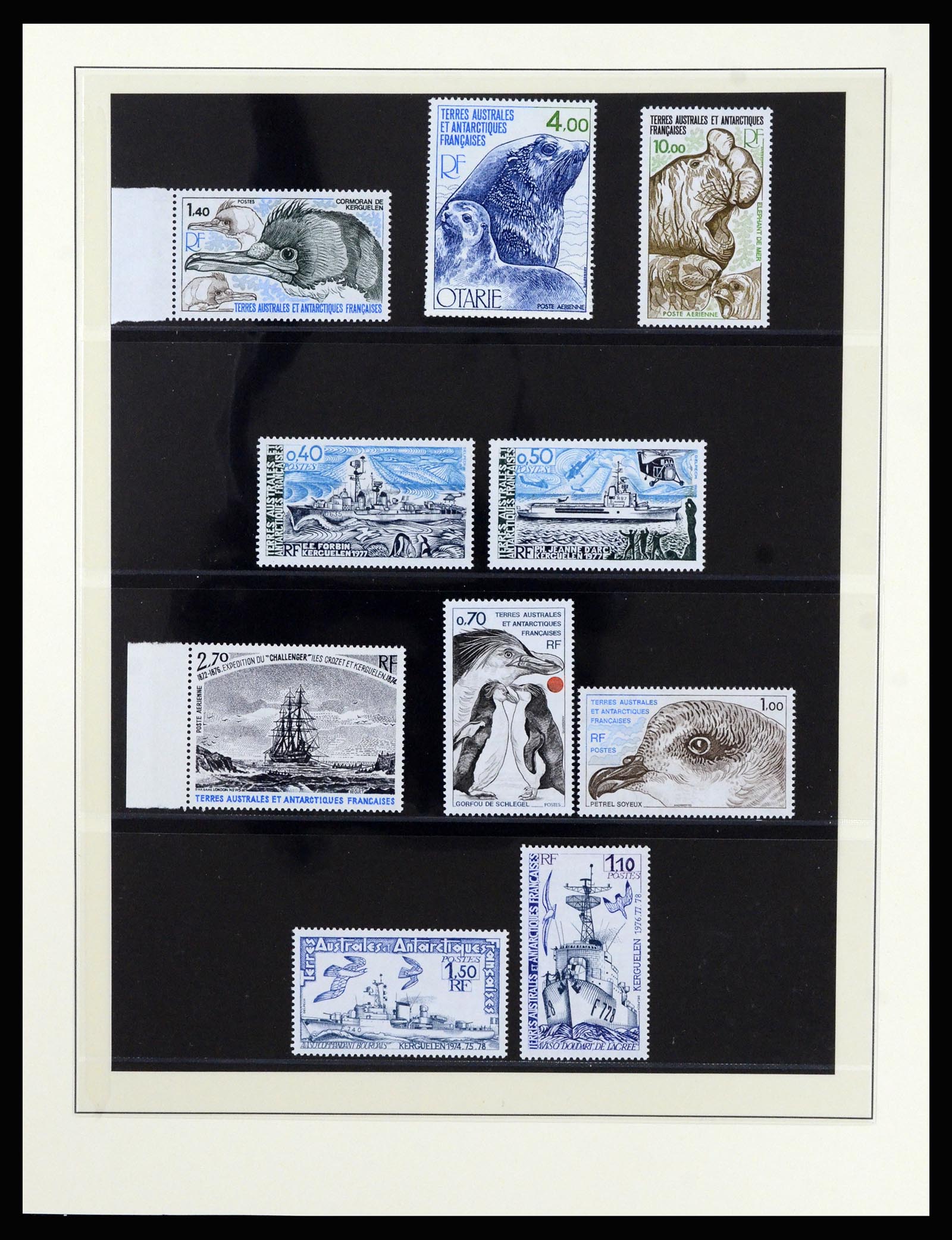 36925 014 - Postzegelverzameling 36925 Frans Antarctica 1955-2002.