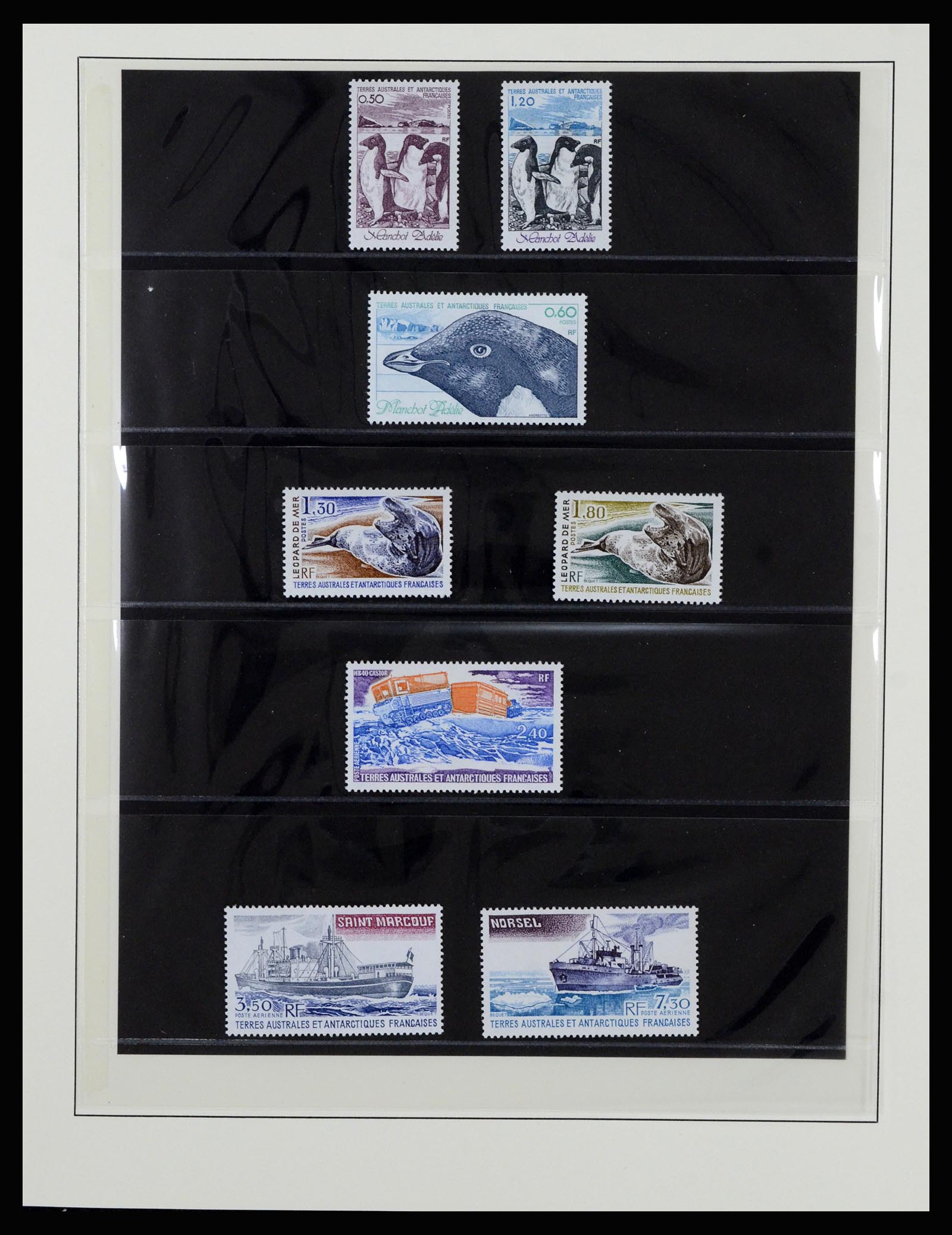 36925 016 - Postzegelverzameling 36925 Frans Antarctica 1955-2002.