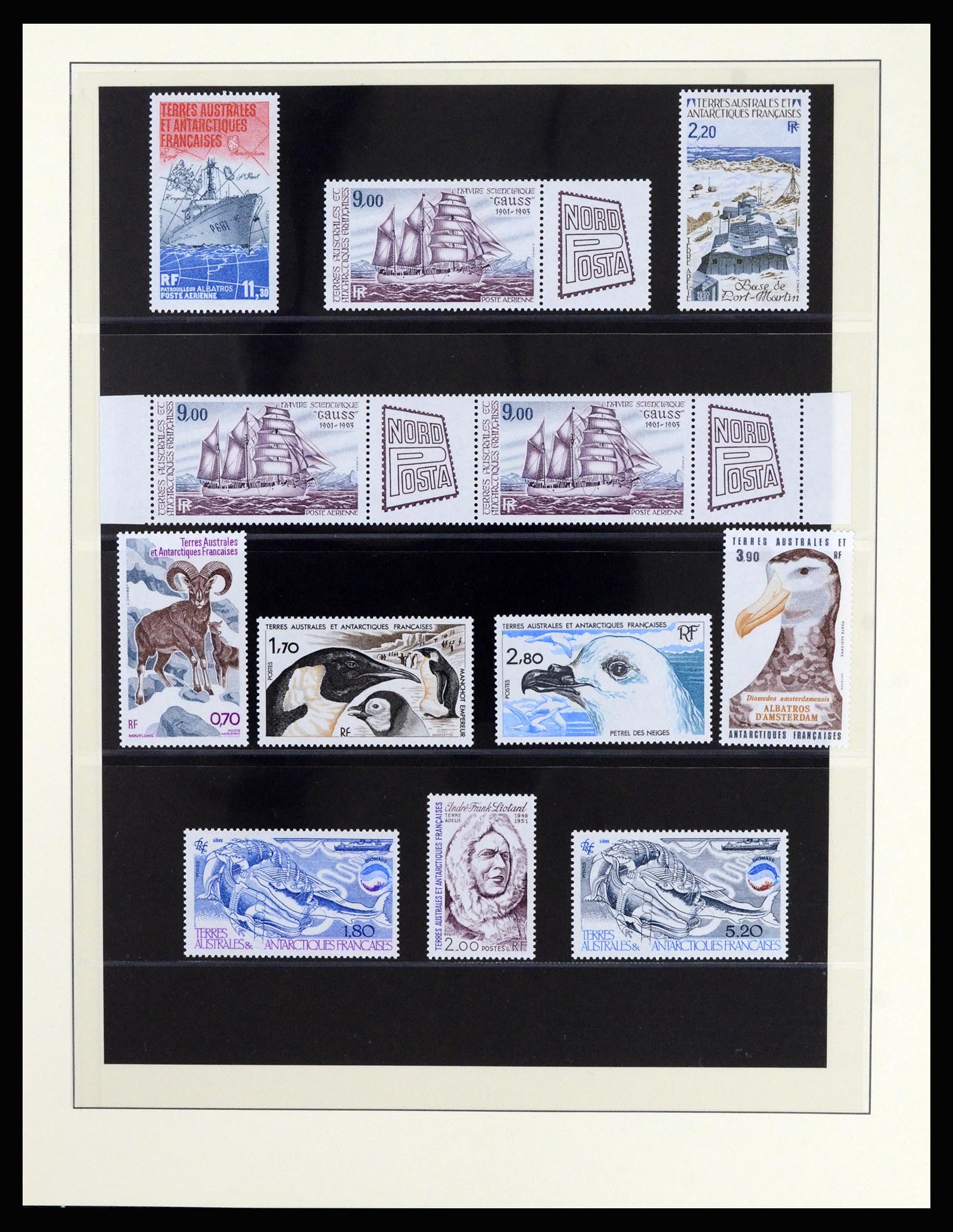 36925 023 - Stamp collection 36925 French Antarctics 1955-2002.