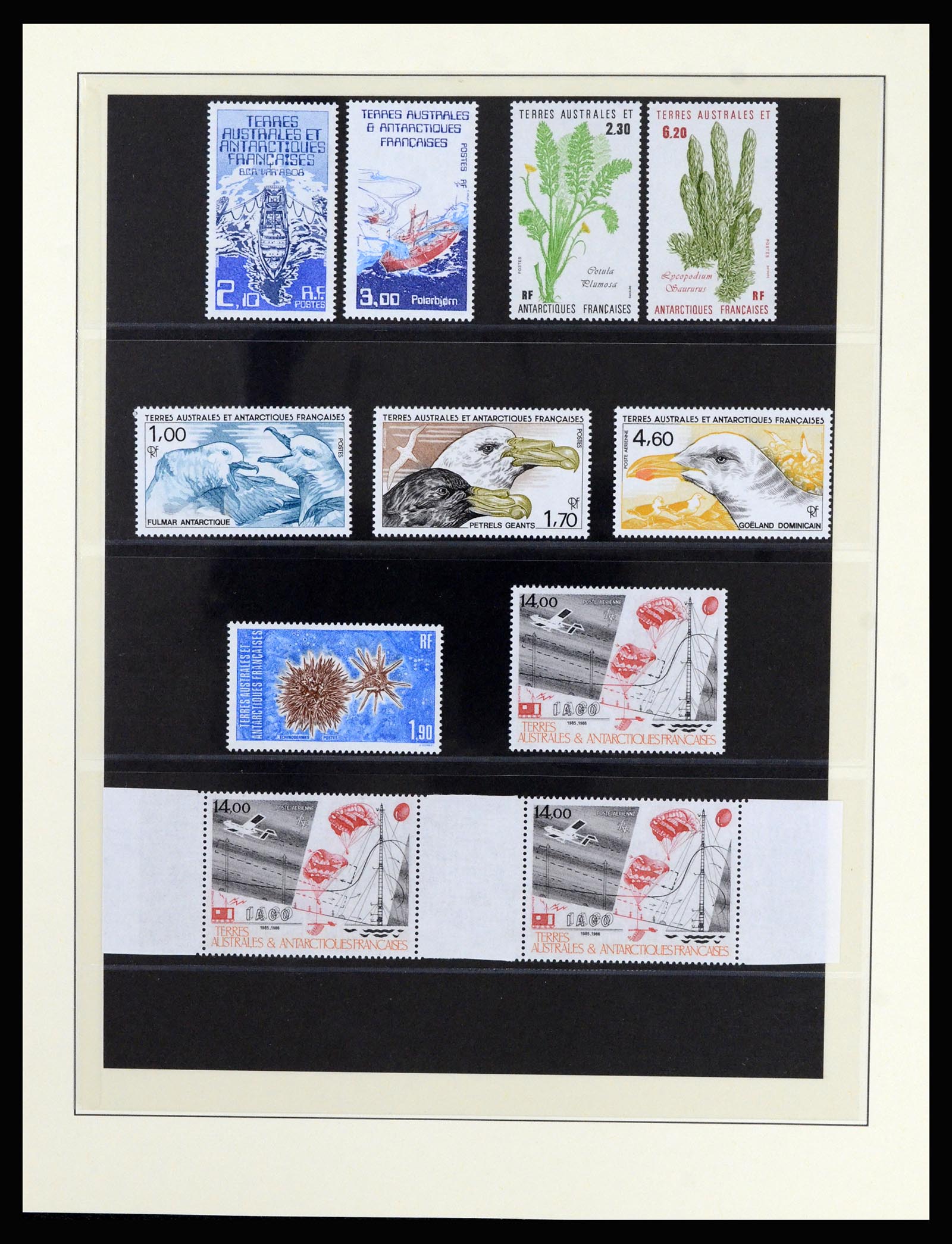 36925 025 - Stamp collection 36925 French Antarctics 1955-2002.