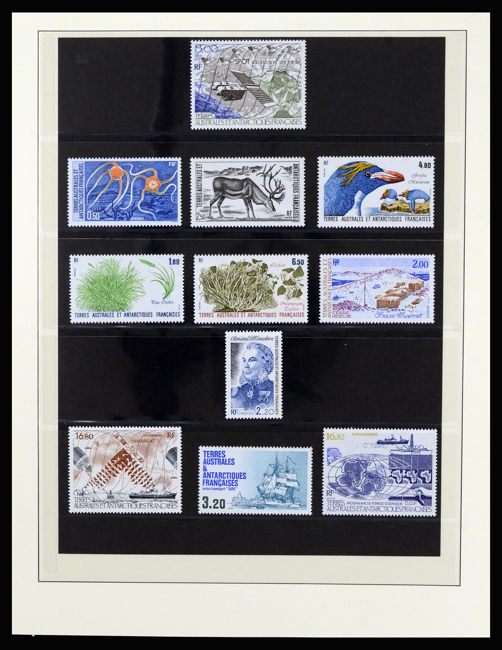 36925 028 - Stamp collection 36925 French Antarctics 1955-2002.