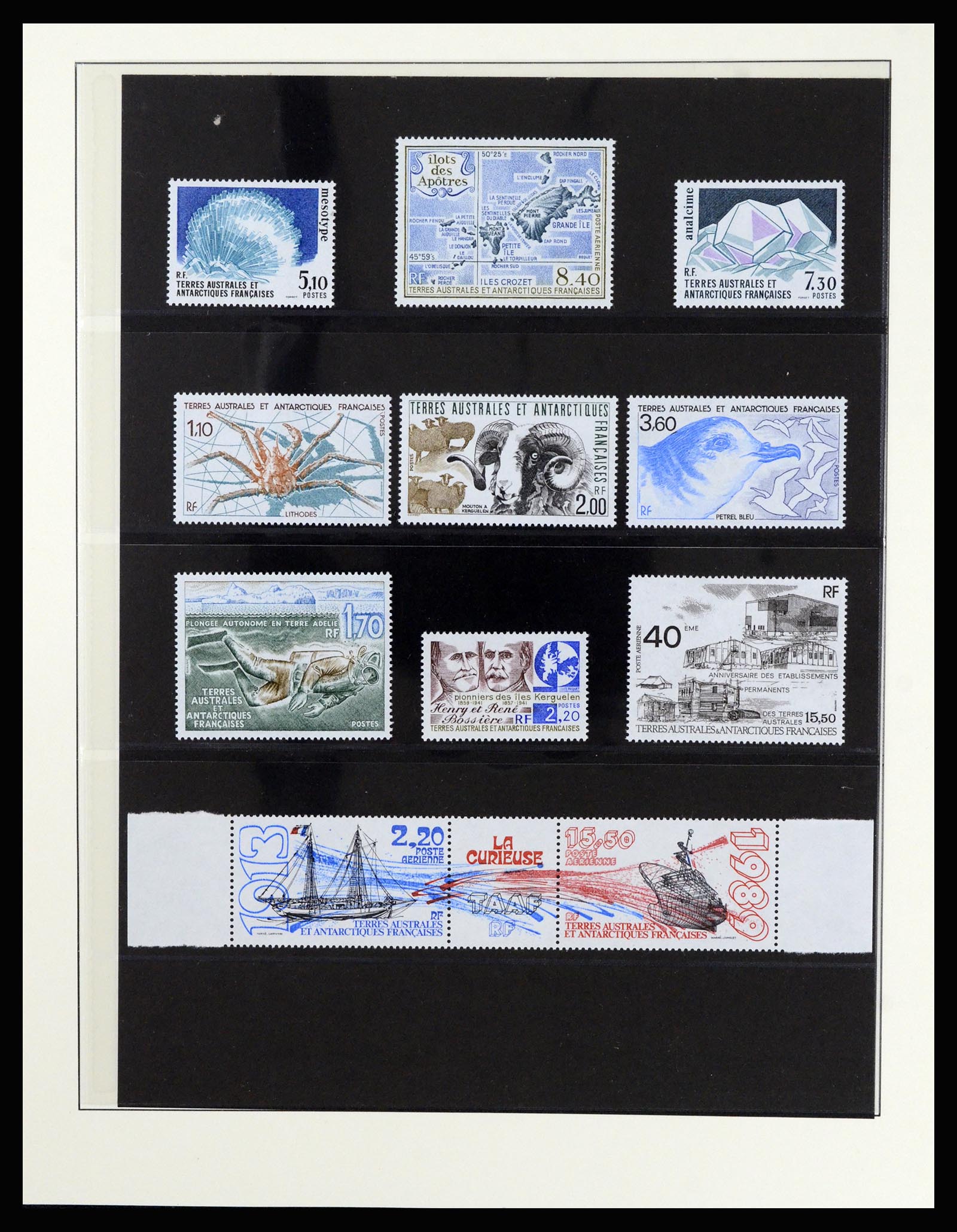 36925 031 - Stamp collection 36925 French Antarctics 1955-2002.