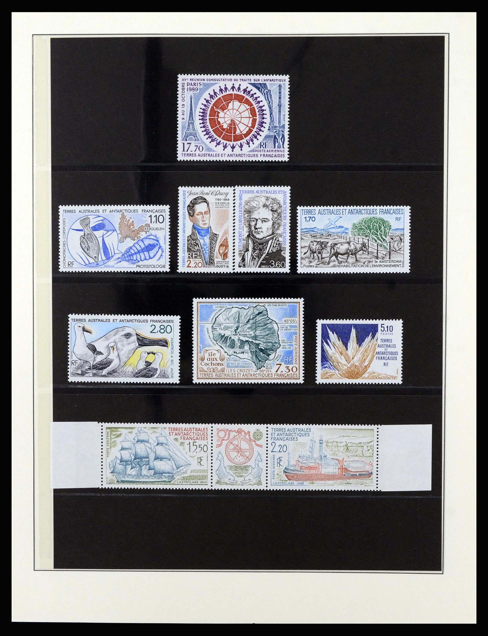 36925 034 - Stamp collection 36925 French Antarctics 1955-2002.