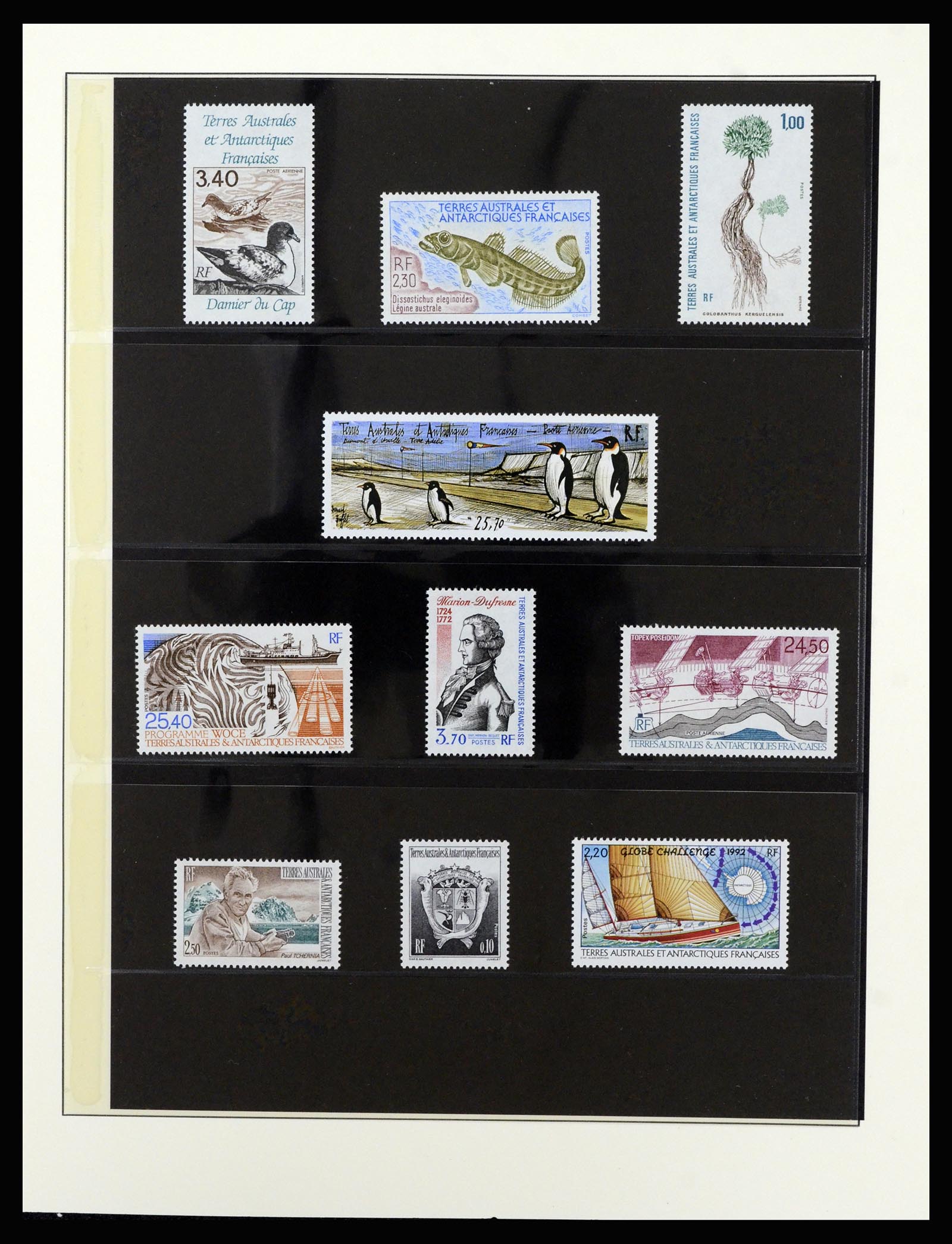 36925 038 - Stamp collection 36925 French Antarctics 1955-2002.