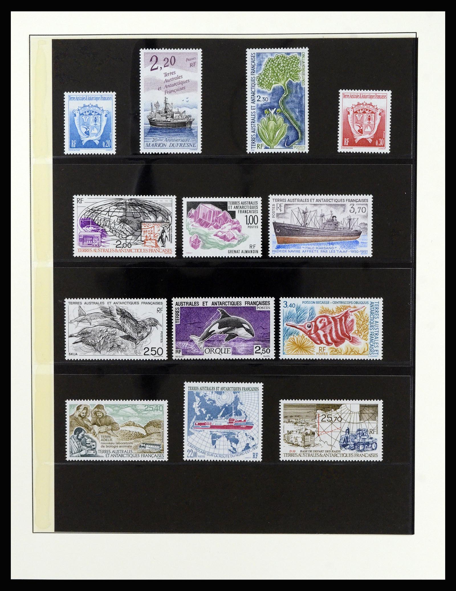 36925 039 - Stamp collection 36925 French Antarctics 1955-2002.