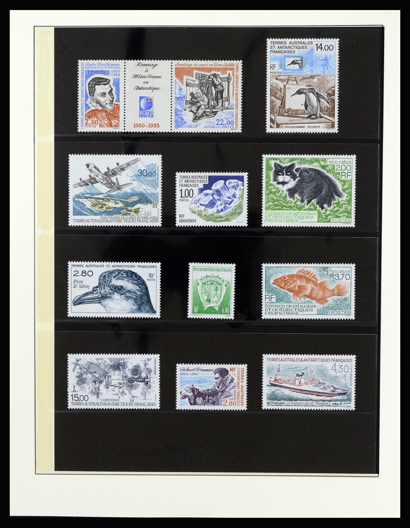 36925 040 - Stamp collection 36925 French Antarctics 1955-2002.