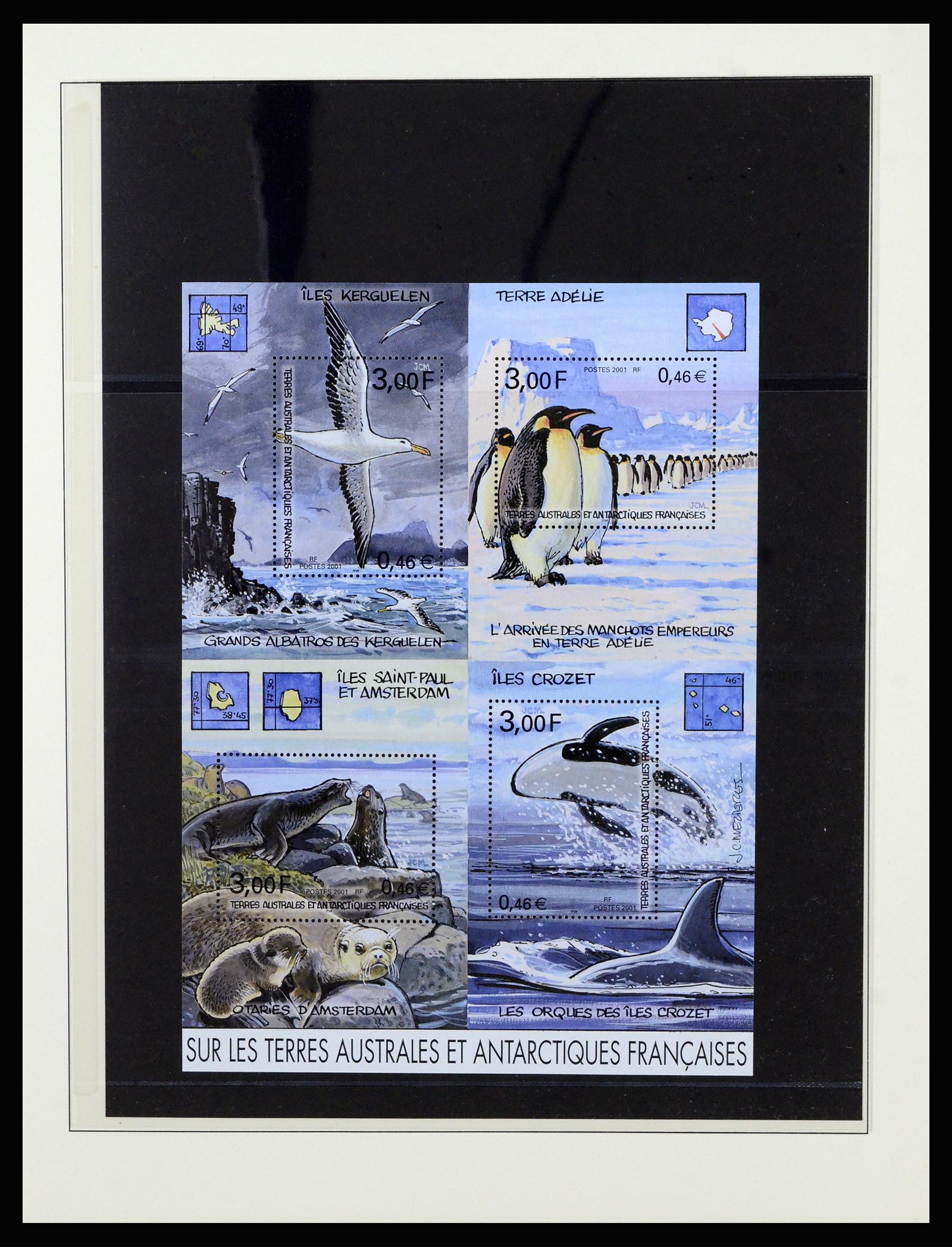 36925 055 - Postzegelverzameling 36925 Frans Antarctica 1955-2002.