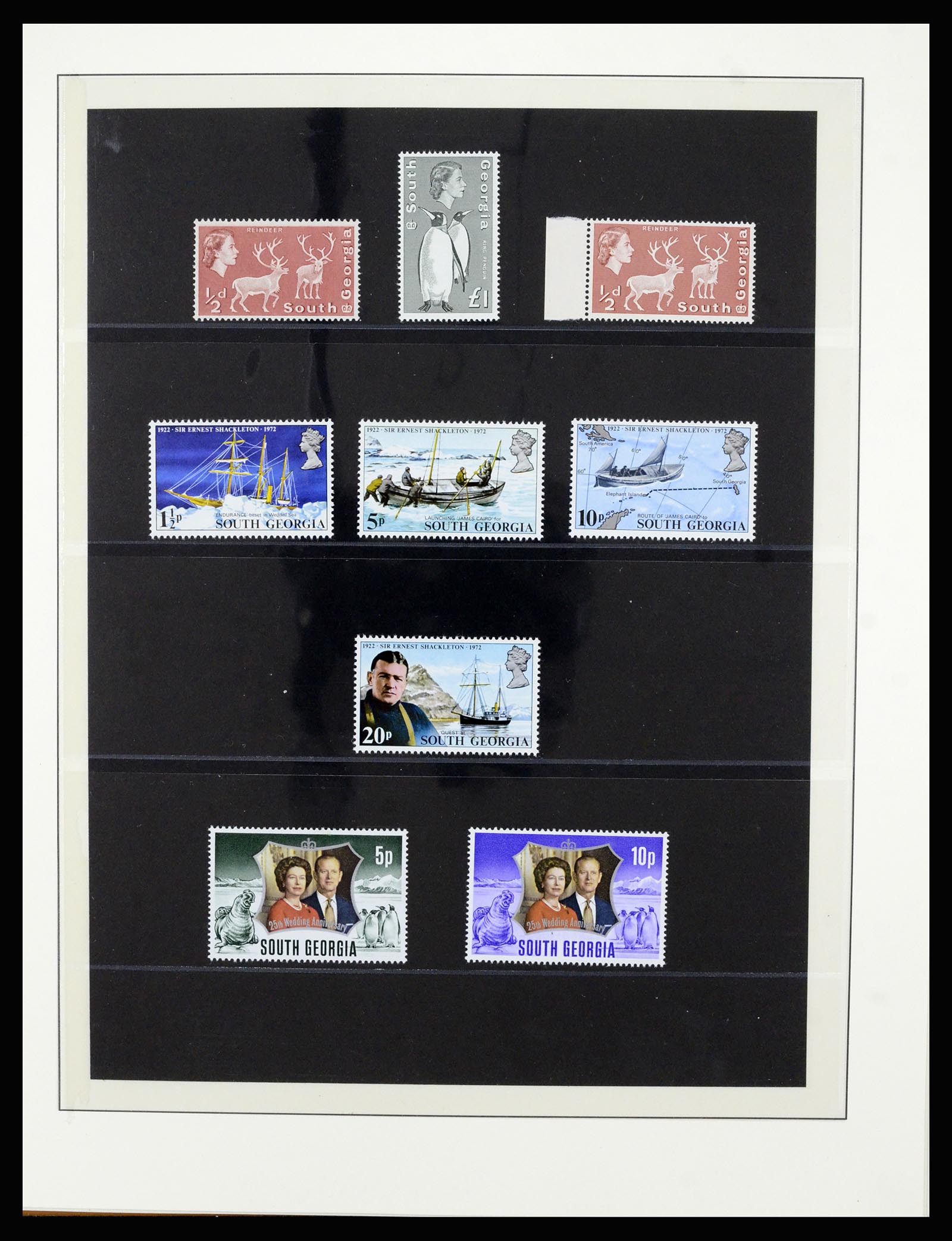 36929 004 - Stamp collection 36929 Falkland Islands dependencies 1944-1997.