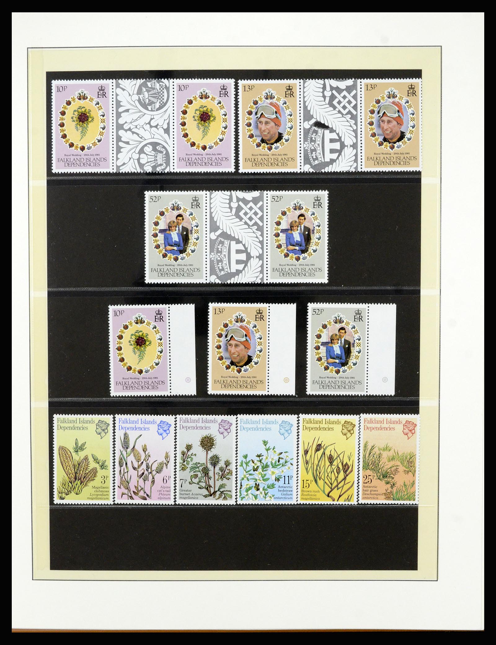 36929 015 - Postzegelverzameling 36929 Falkland Islands dependencies 1944-1997.