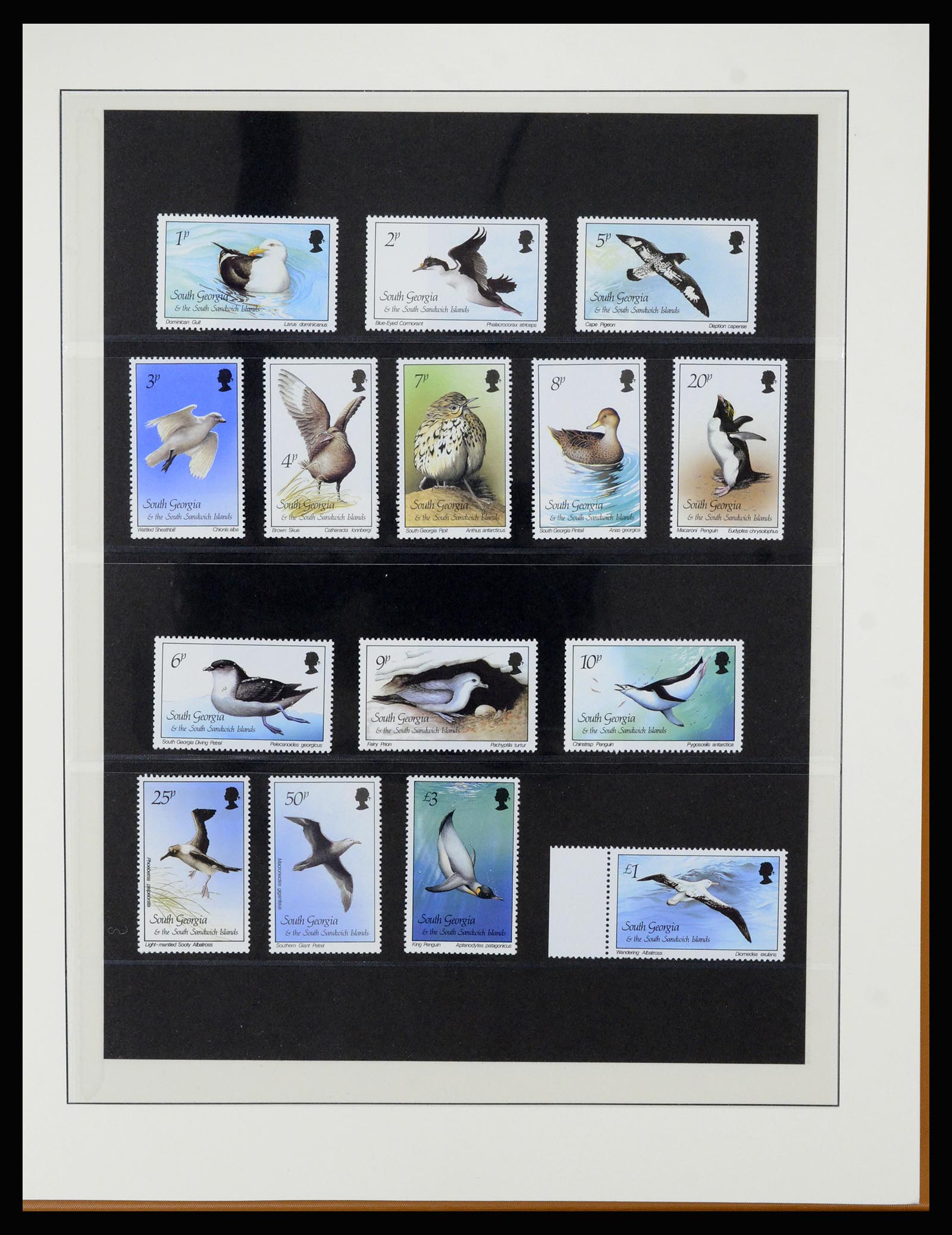 36929 029 - Stamp collection 36929 Falkland Islands dependencies 1944-1997.