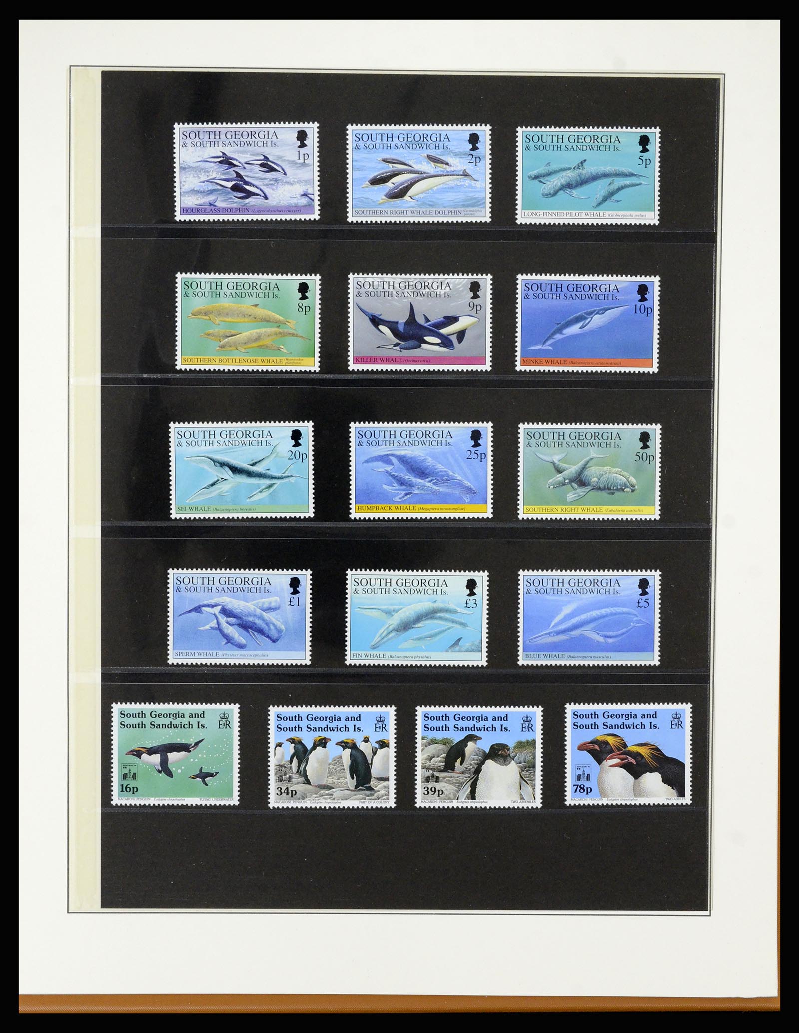 36929 041 - Postzegelverzameling 36929 Falkland Islands dependencies 1944-1997.