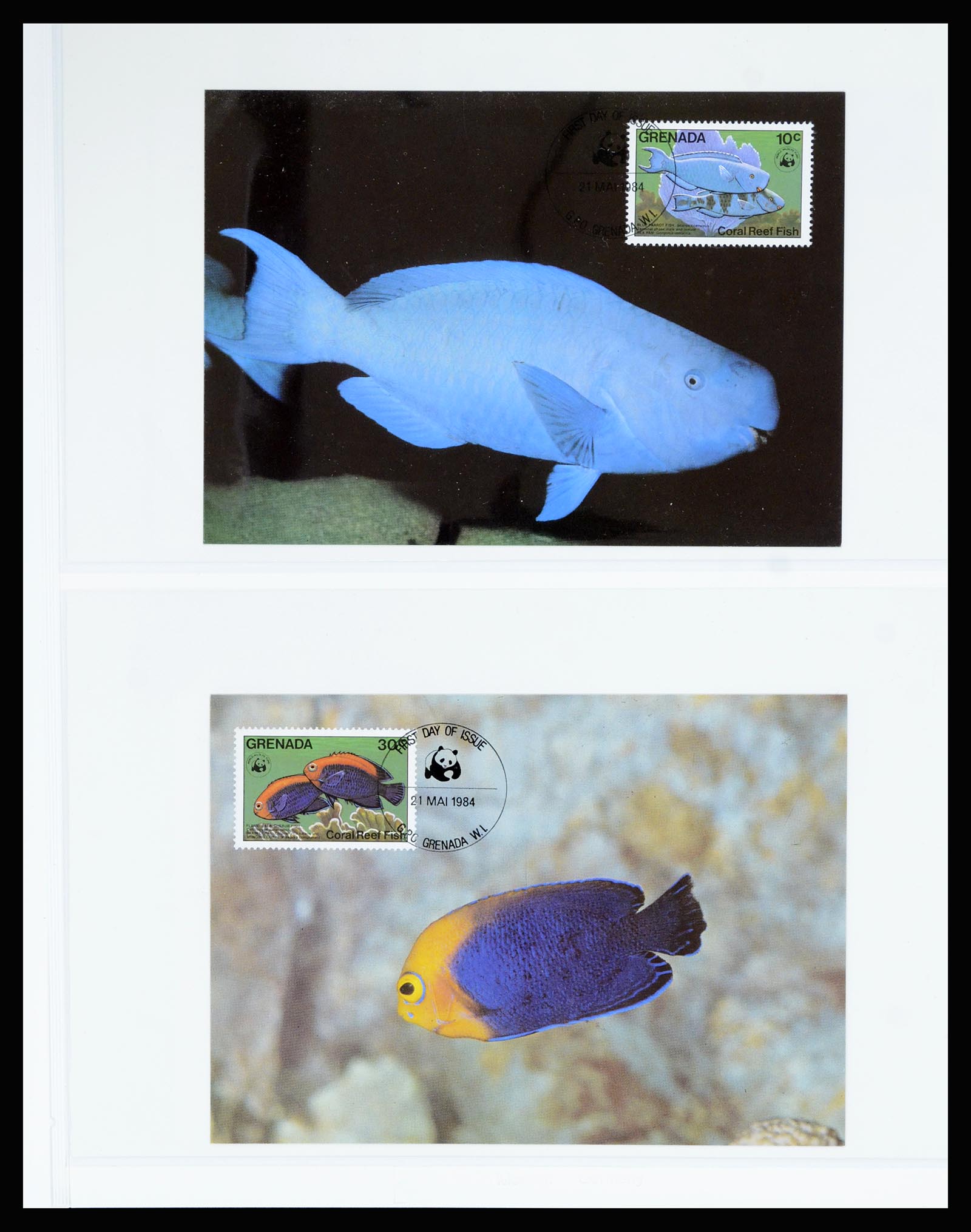 36979 173 - Postzegelverzameling 36979 Grenada 1861-1986.