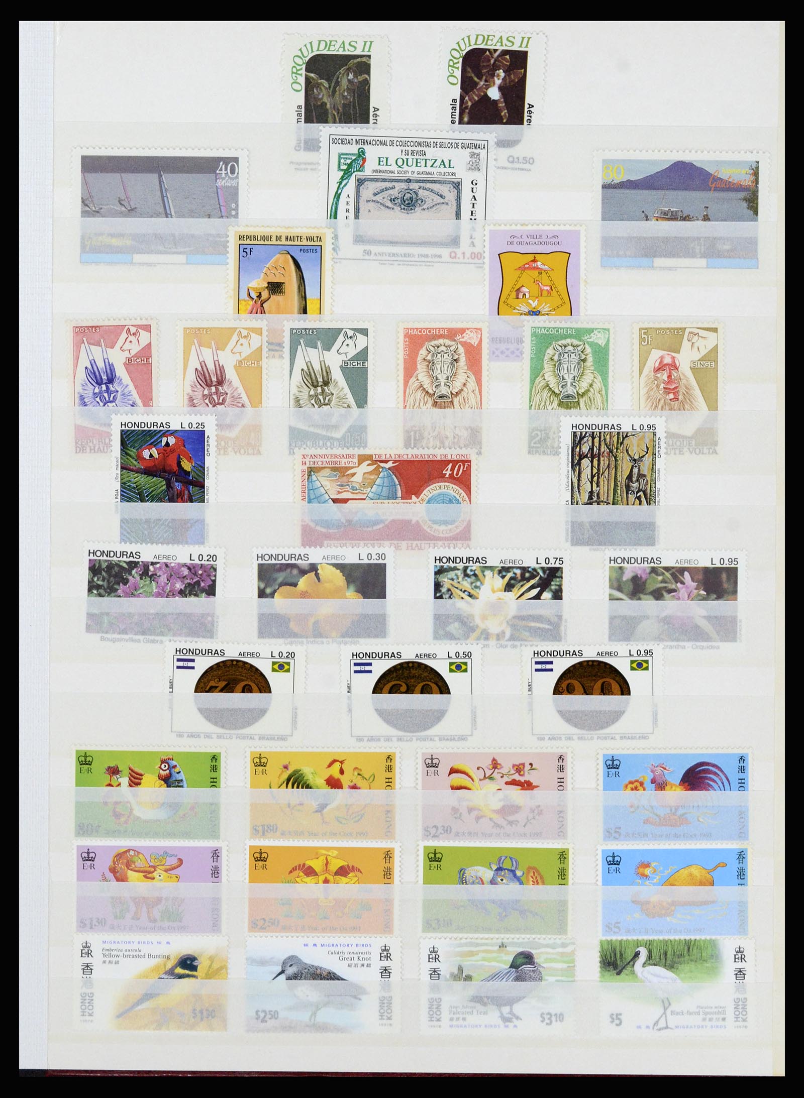 37064 029 - Postzegelverzameling 37064 Wereld motief 1960-2007.