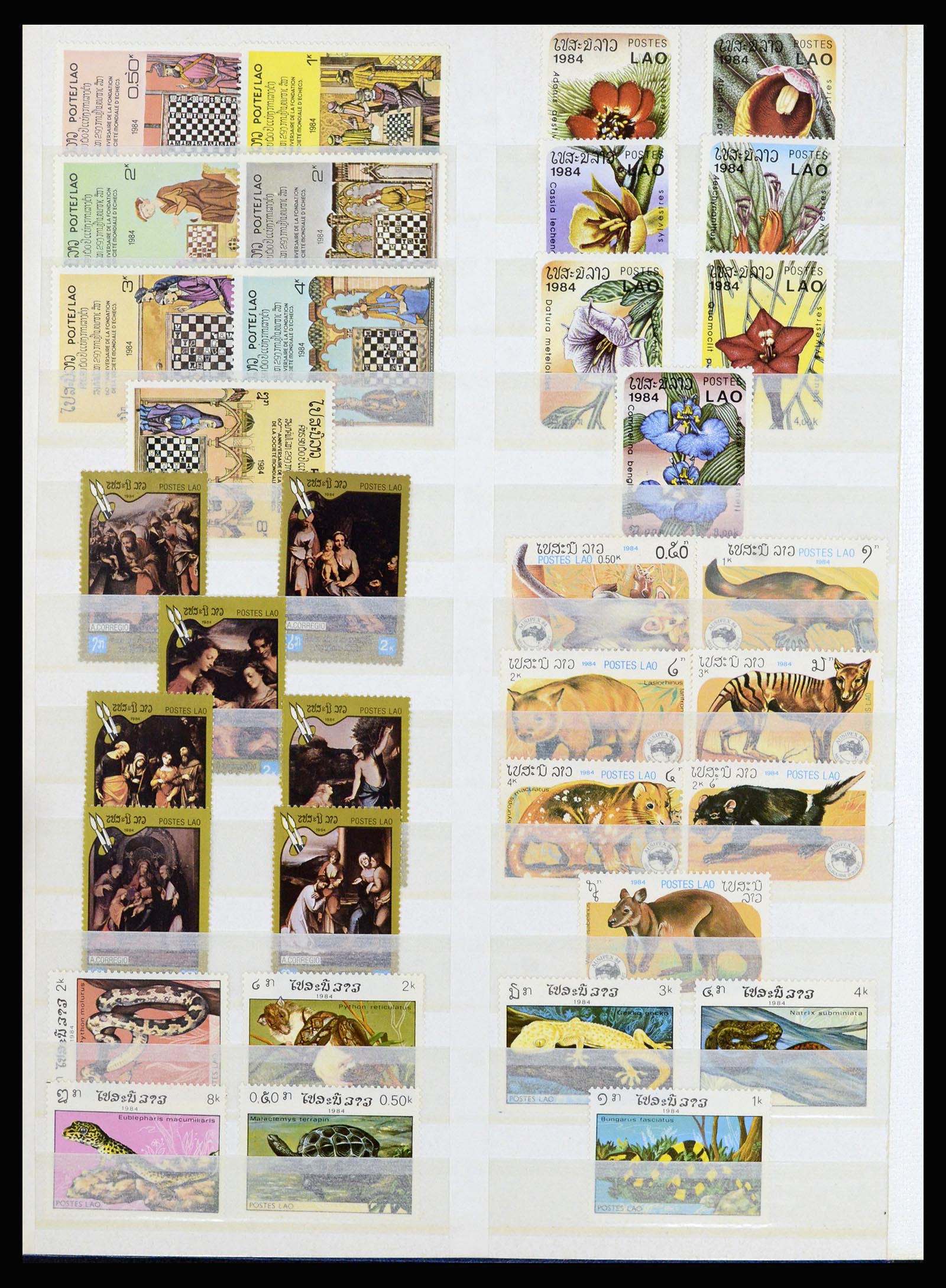 37064 073 - Stamp collection 37064 World thematics 1960-2007.