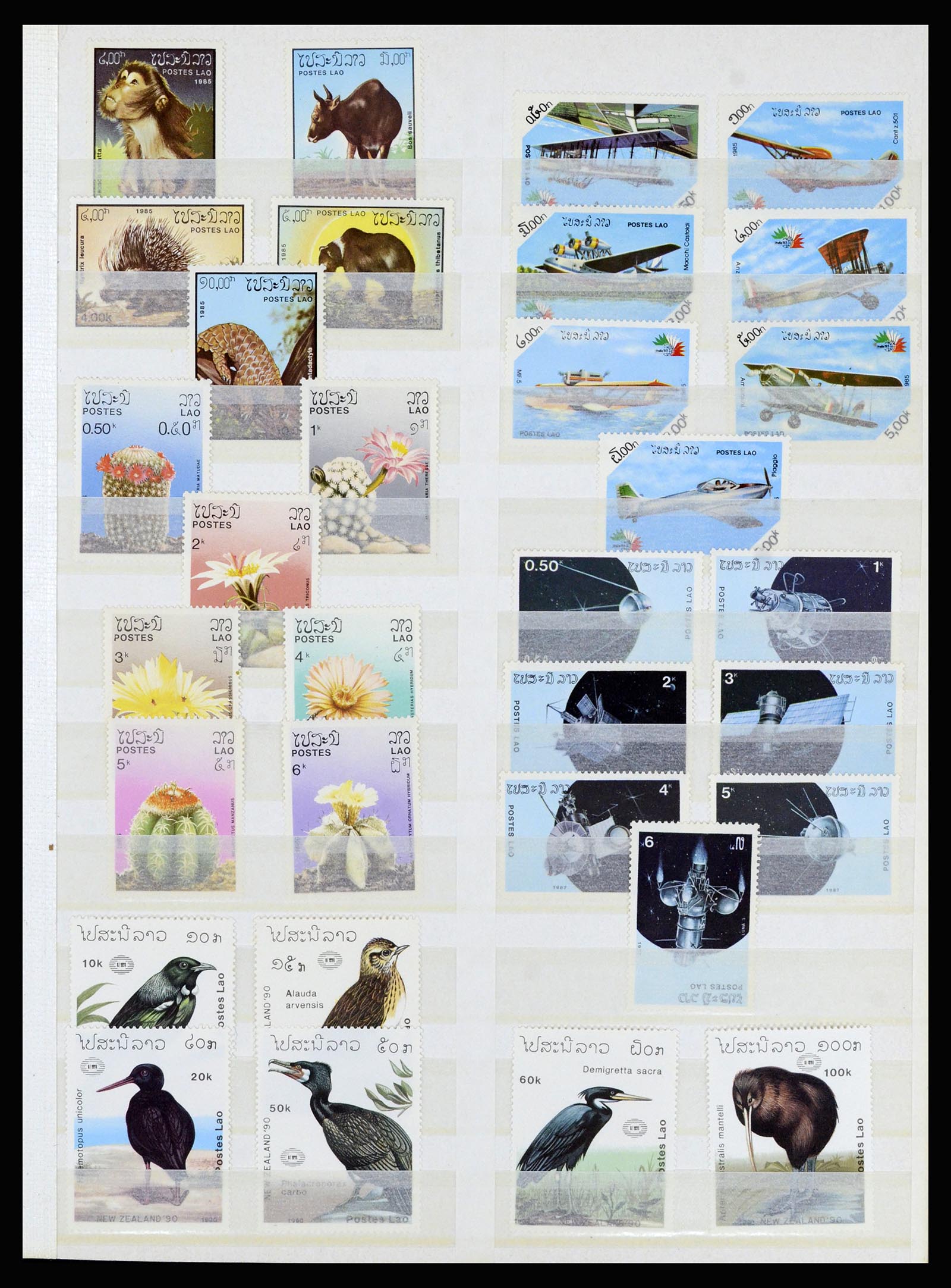 37064 074 - Stamp collection 37064 World thematics 1960-2007.