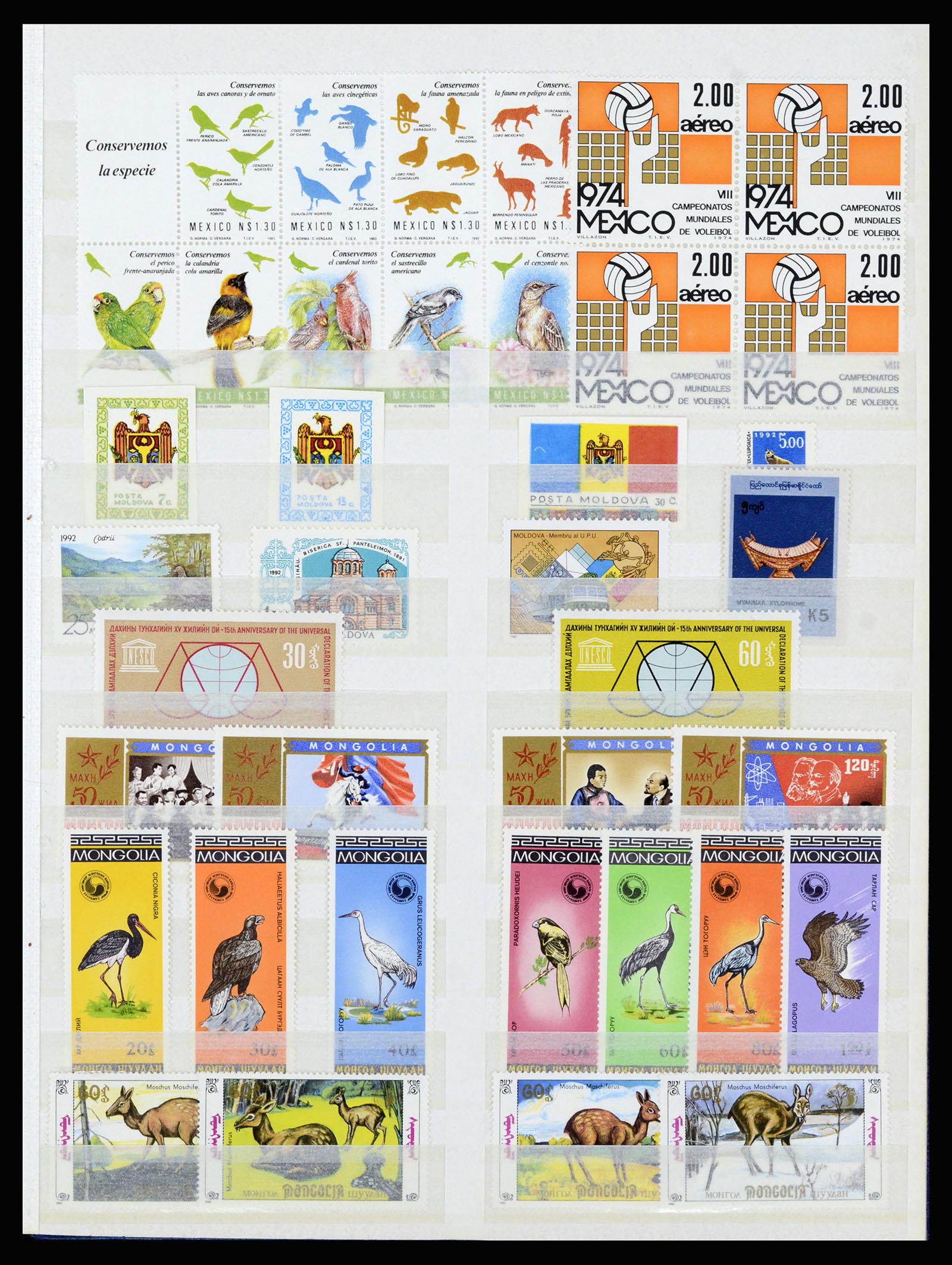 37064 084 - Stamp collection 37064 World thematics 1960-2007.