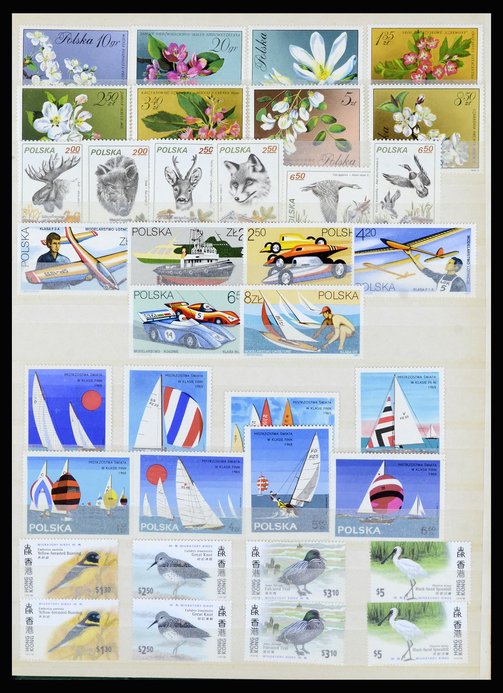 37064 125 - Postzegelverzameling 37064 Wereld motief 1960-2007.