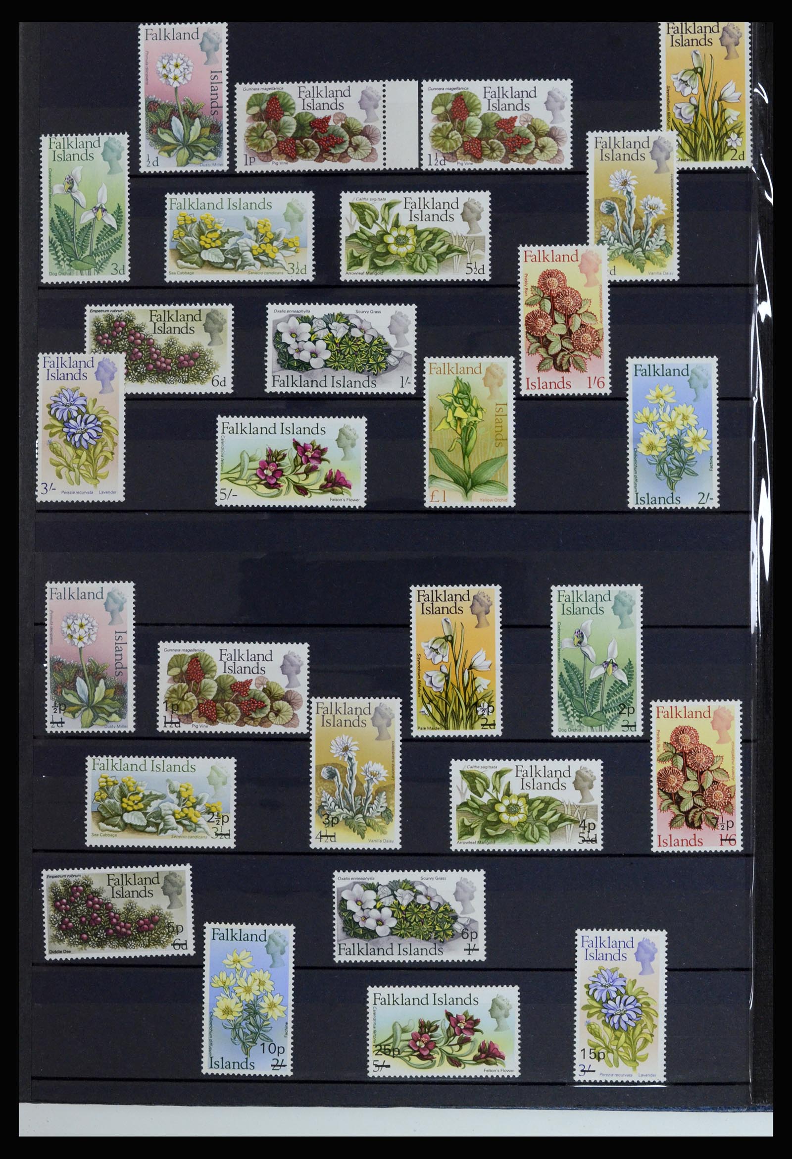 37065 008 - Postzegelverzameling 37065 Falkland Eilanden 1878-2006.