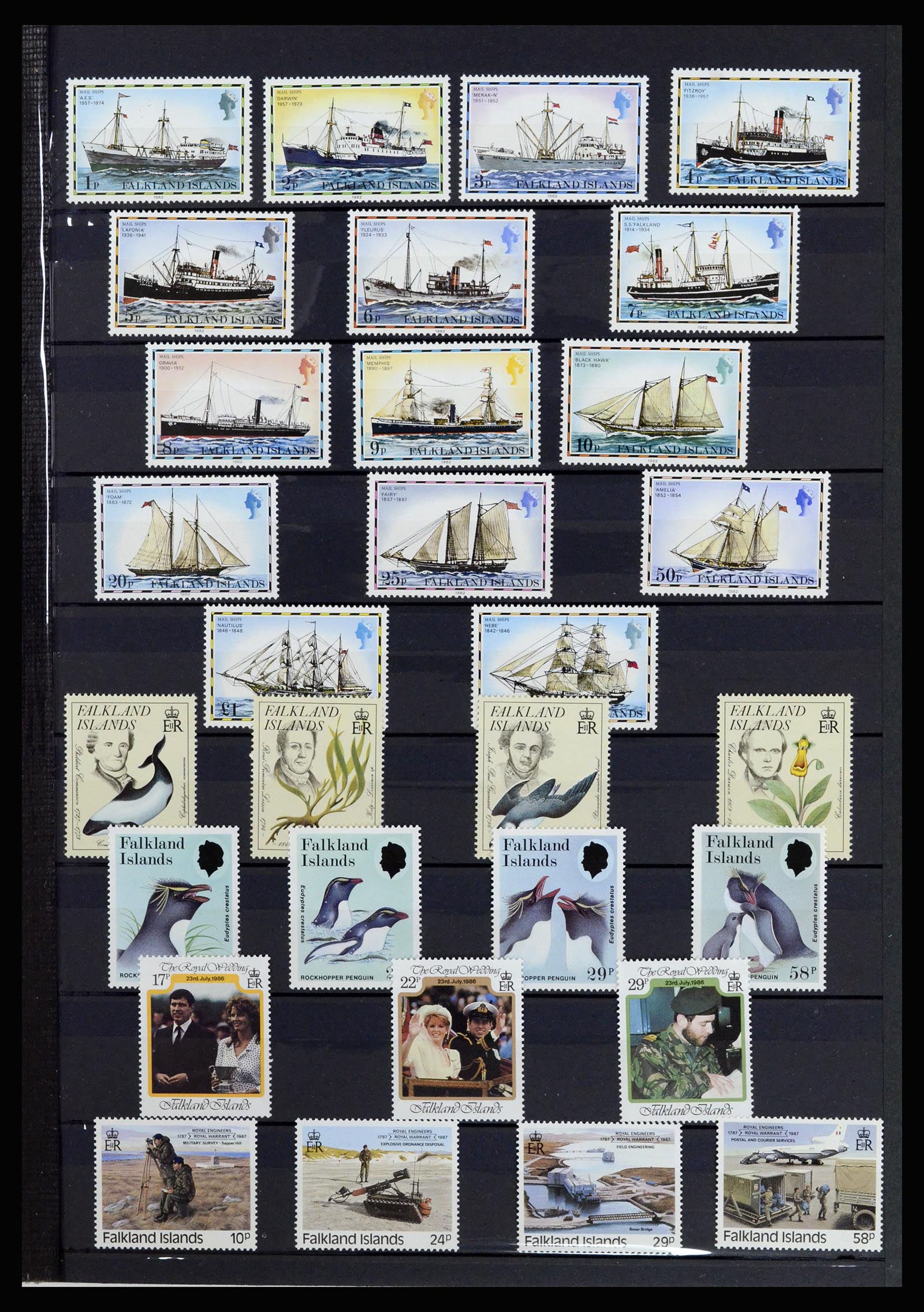 37065 019 - Postzegelverzameling 37065 Falkland Eilanden 1878-2006.