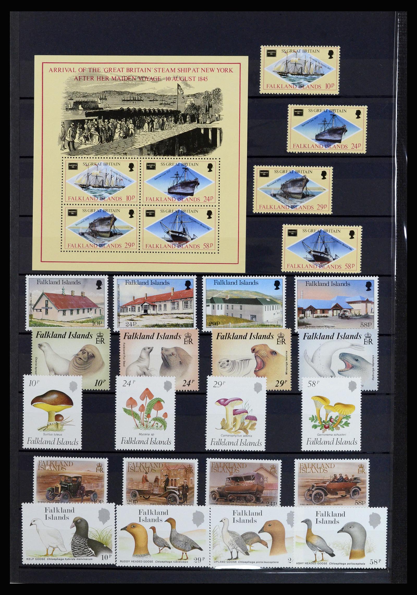 37065 020 - Postzegelverzameling 37065 Falkland Eilanden 1878-2006.