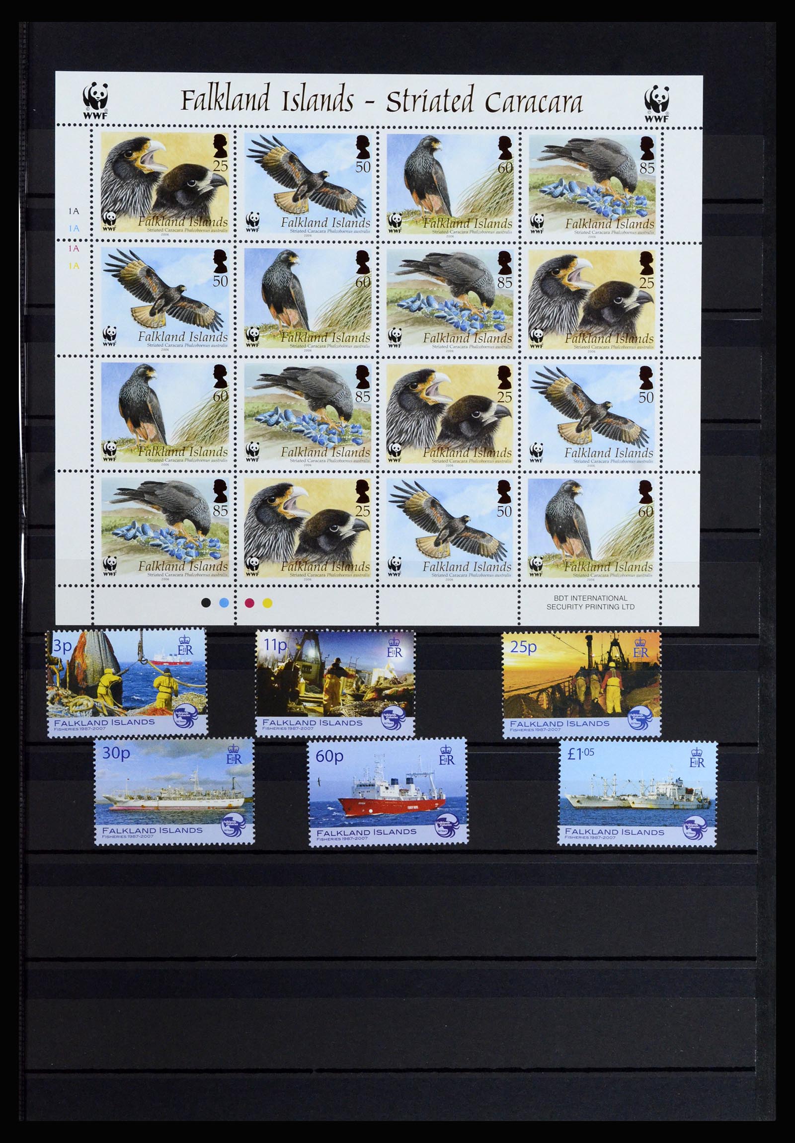 37065 045 - Postzegelverzameling 37065 Falkland Eilanden 1878-2006.