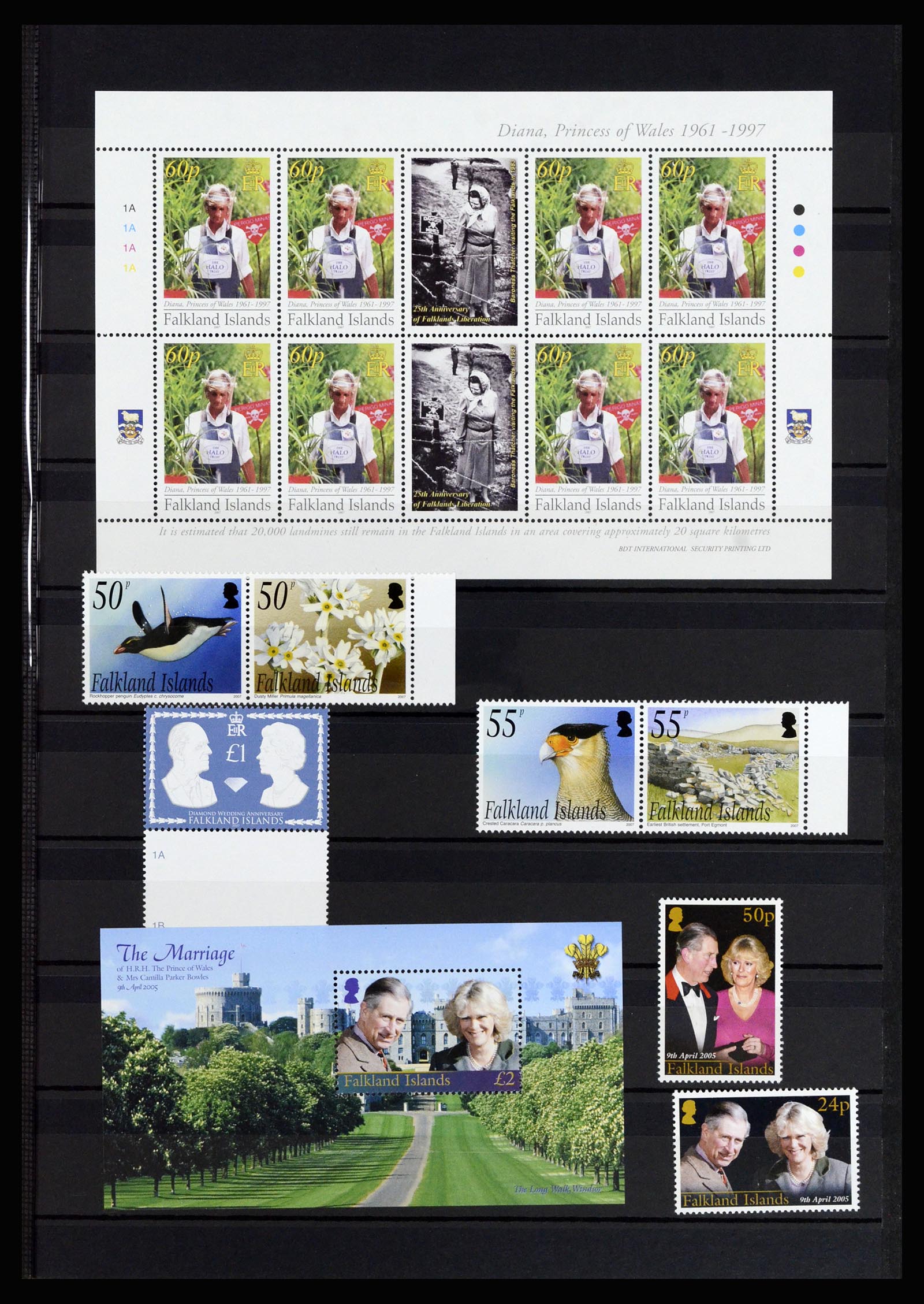 37065 049 - Postzegelverzameling 37065 Falkland Eilanden 1878-2006.