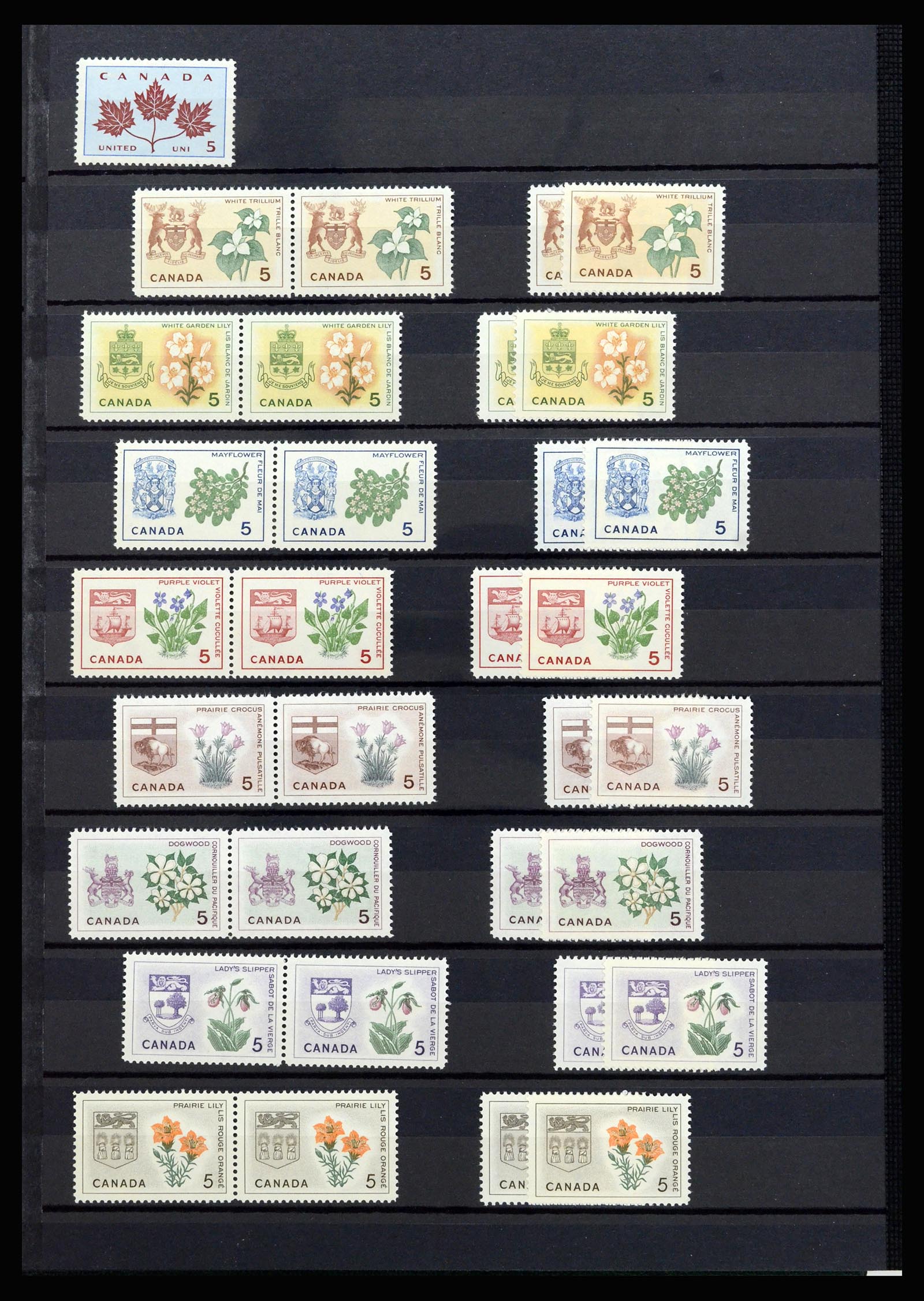 37094 008 - Postzegelverzameling 37094 Canada 1953-2010.