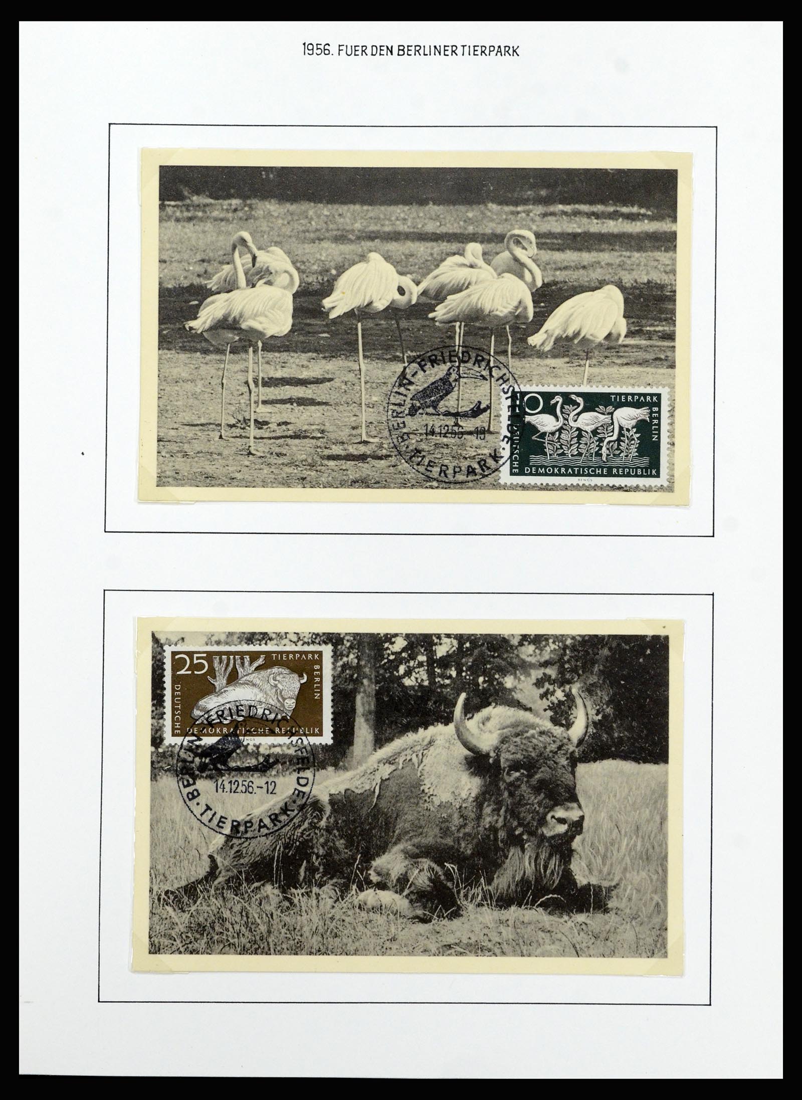 37101 039 - Postzegelverzameling 37101 DDR 1954-1960.