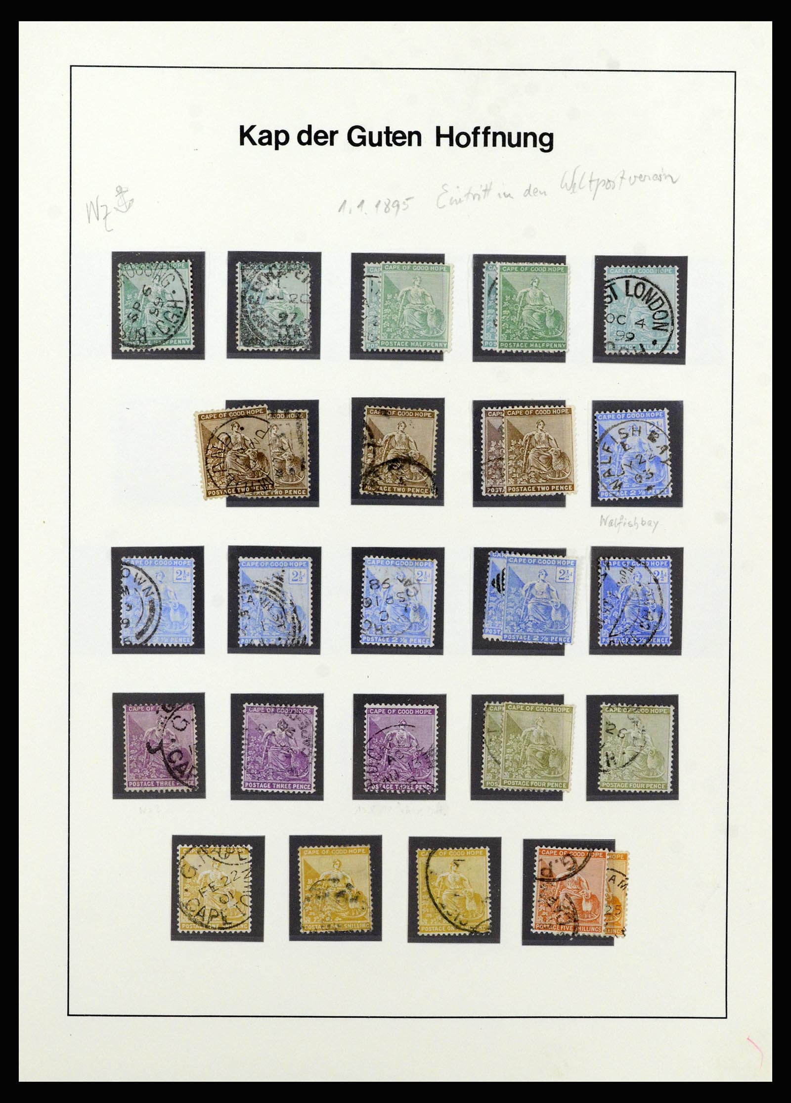 37135 019 - Postzegelverzameling 37135 Zuid Afrikaanse Staten 1853-1909.