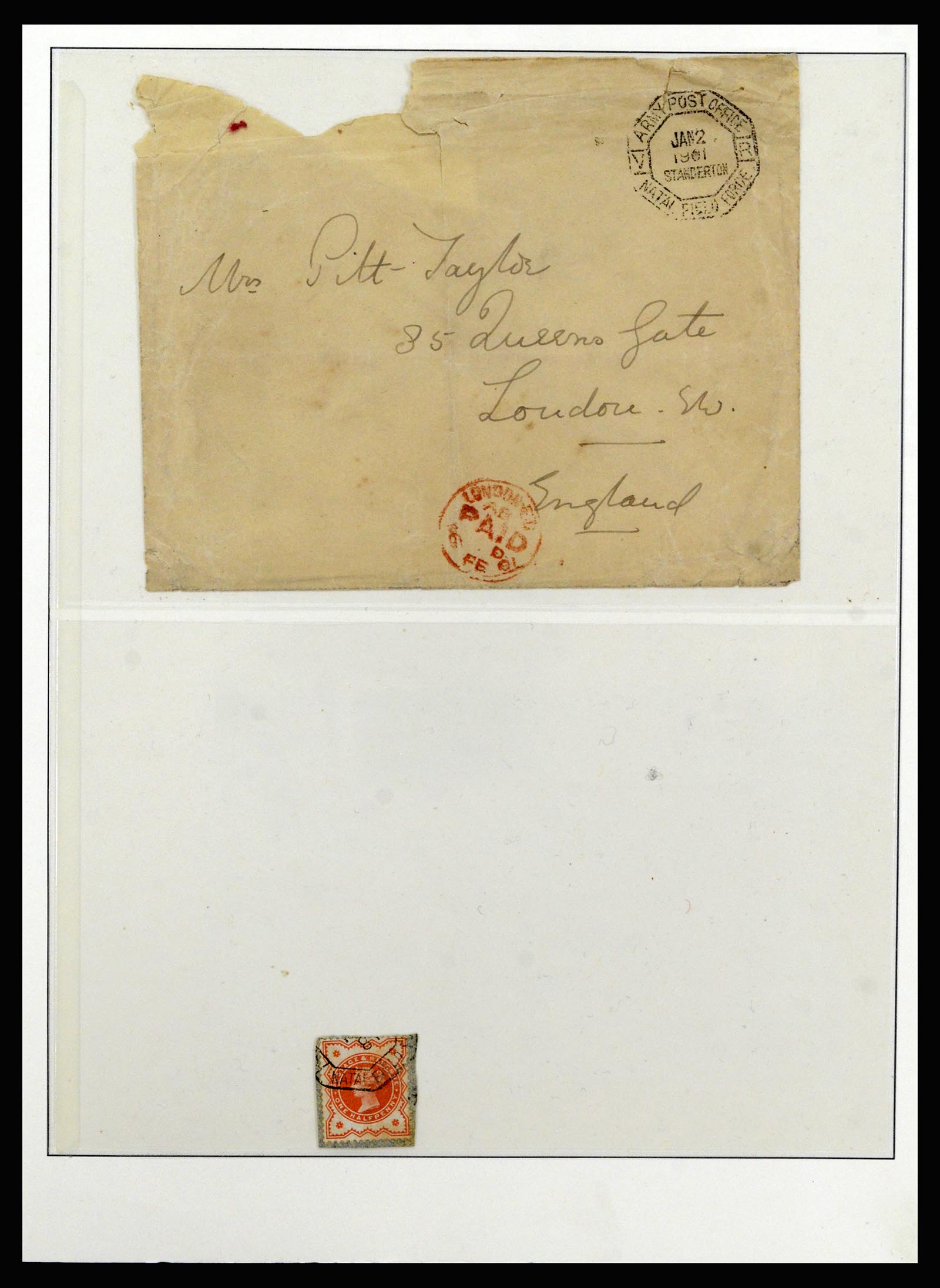 37135 048 - Postzegelverzameling 37135 Zuid Afrikaanse Staten 1853-1909.