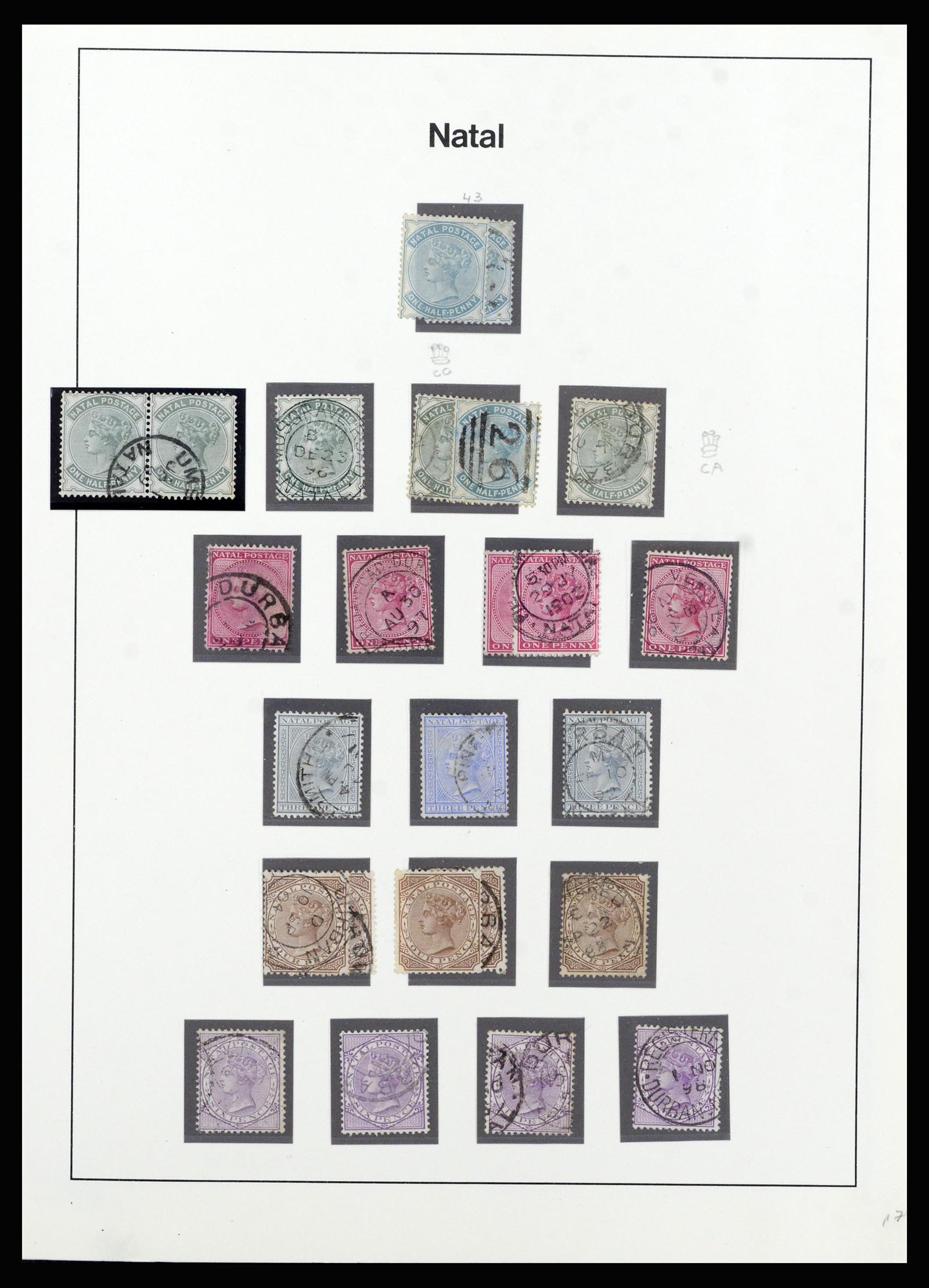37135 056 - Postzegelverzameling 37135 Zuid Afrikaanse Staten 1853-1909.