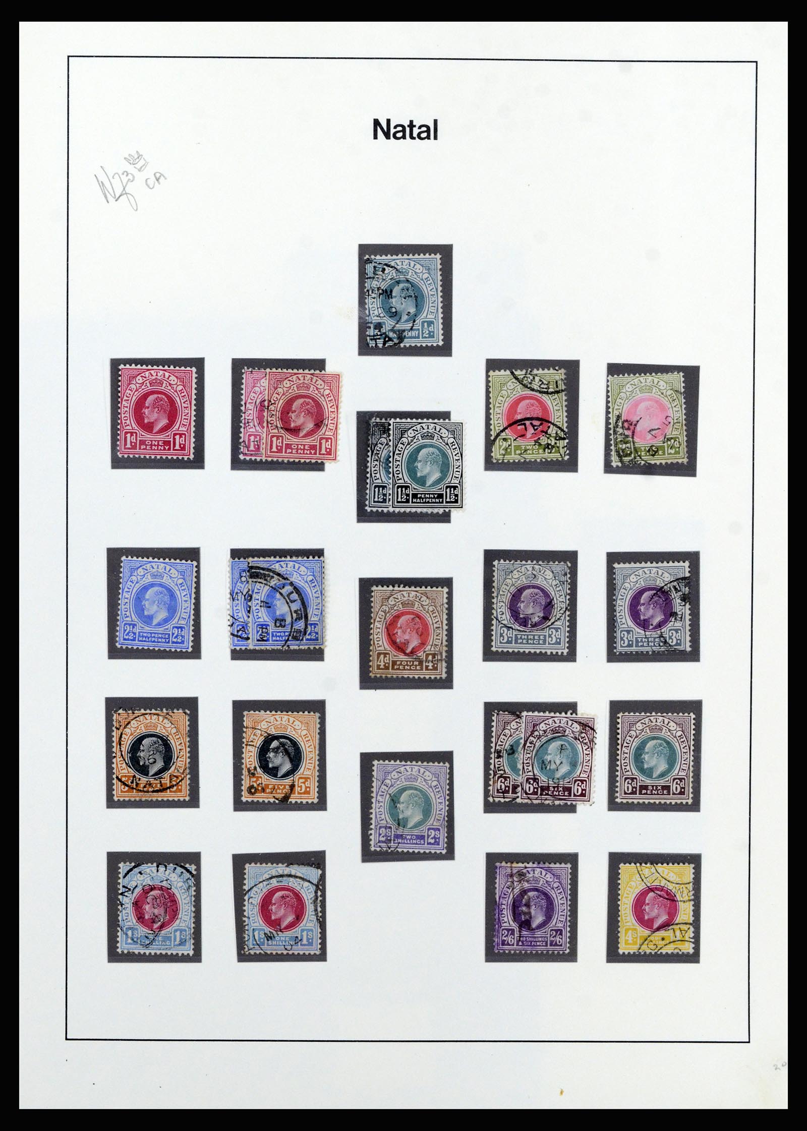 37135 060 - Postzegelverzameling 37135 Zuid Afrikaanse Staten 1853-1909.