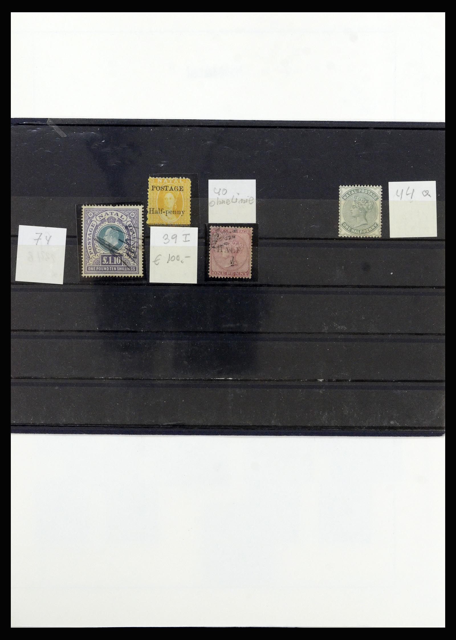 37135 061 - Postzegelverzameling 37135 Zuid Afrikaanse Staten 1853-1909.
