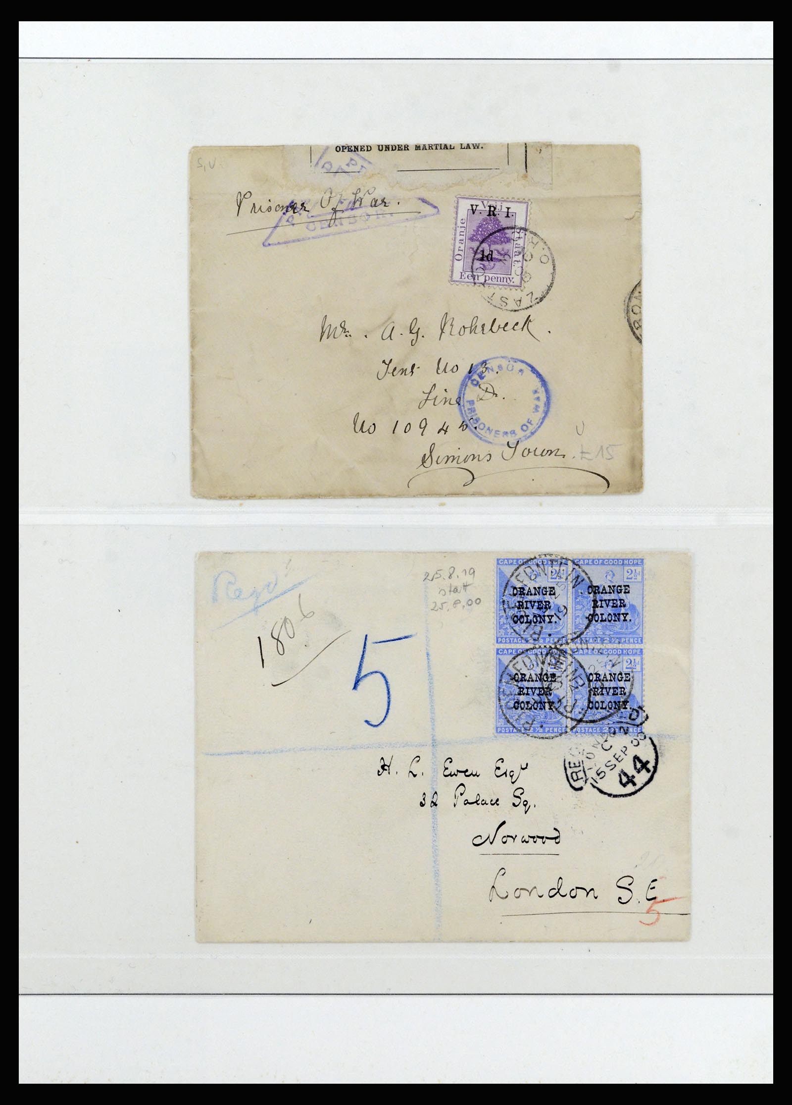 37135 099 - Postzegelverzameling 37135 Zuid Afrikaanse Staten 1853-1909.